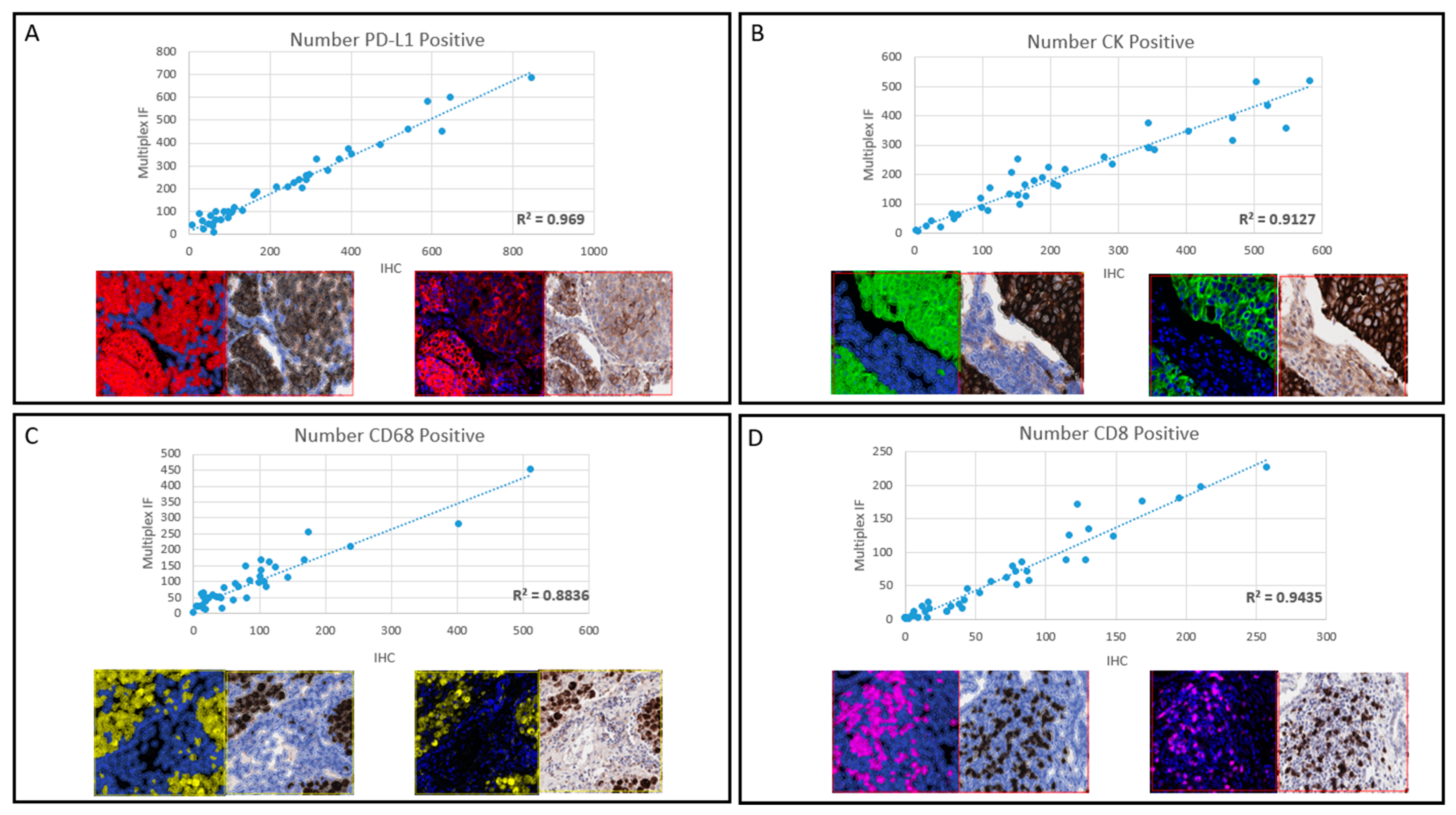 Cancers 13 00029 g002