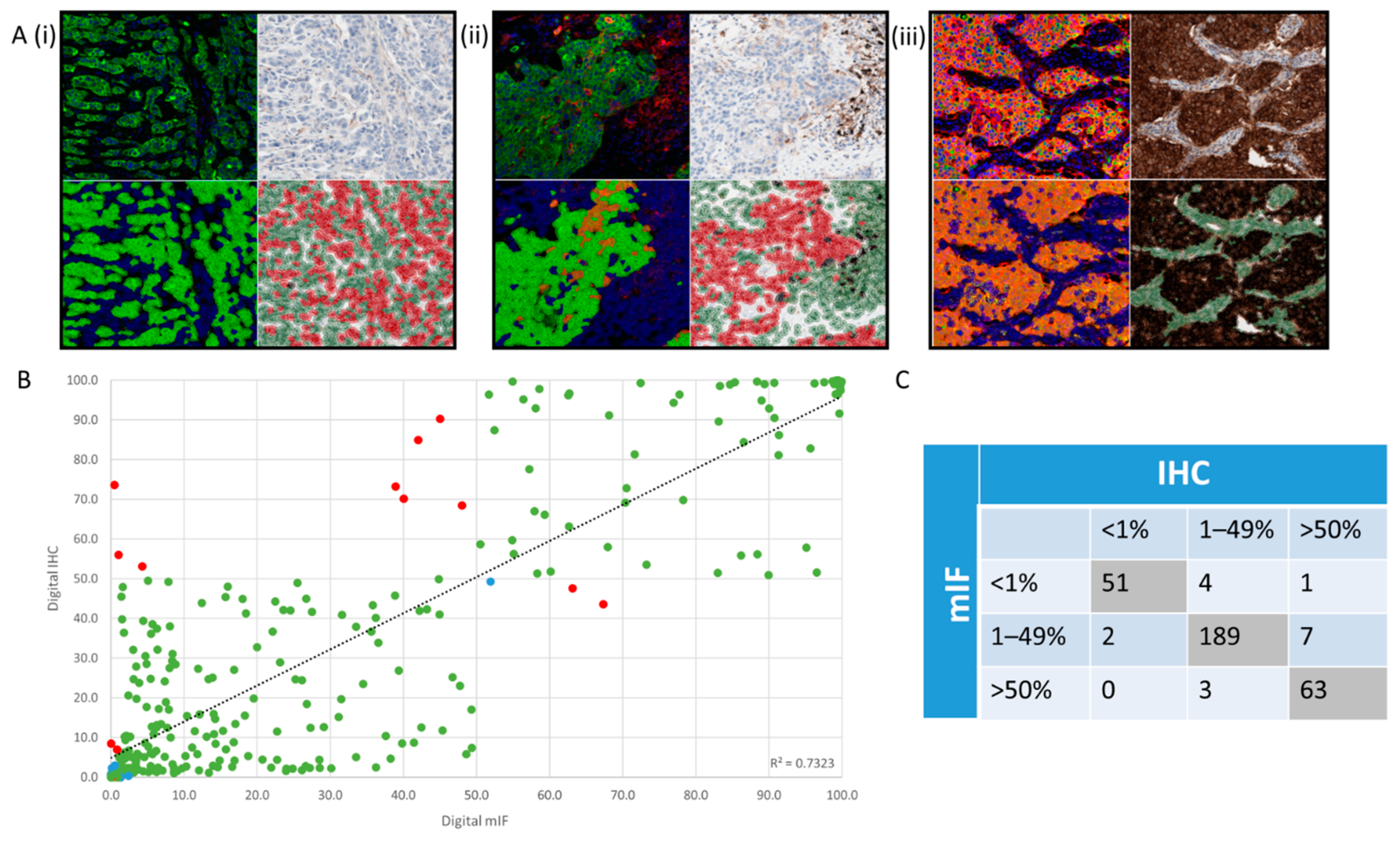 Cancers 13 00029 g004
