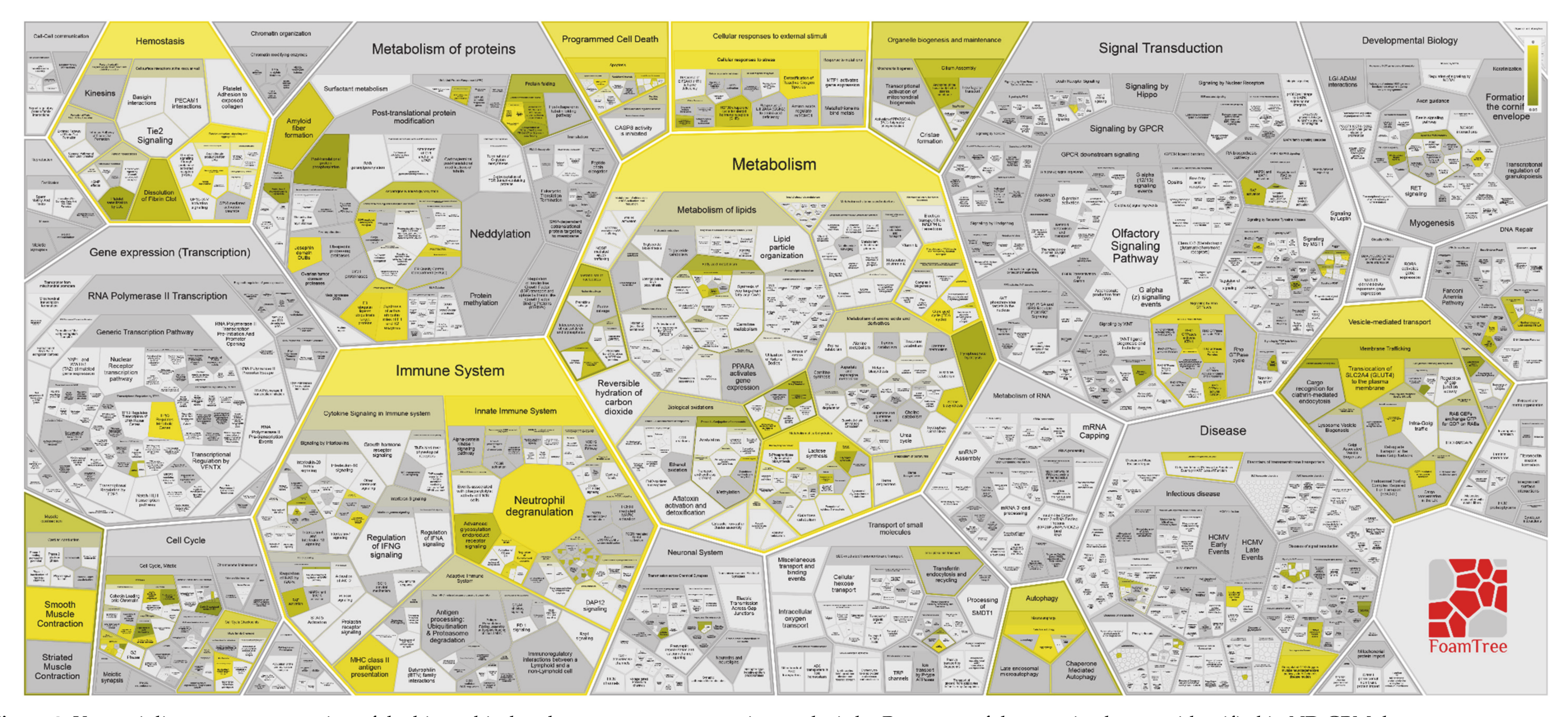 Cancers 13 00030 g003
