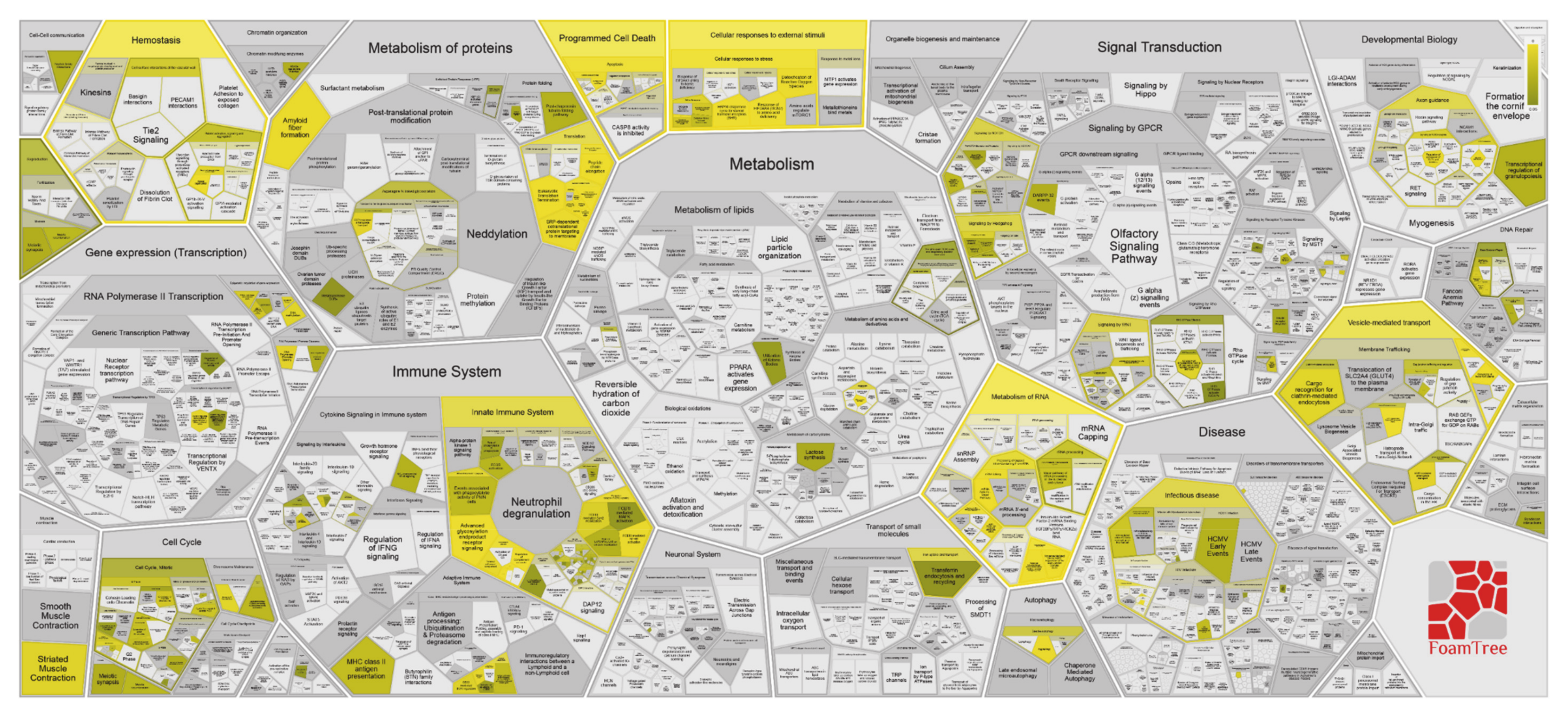 Cancers 13 00030 g010