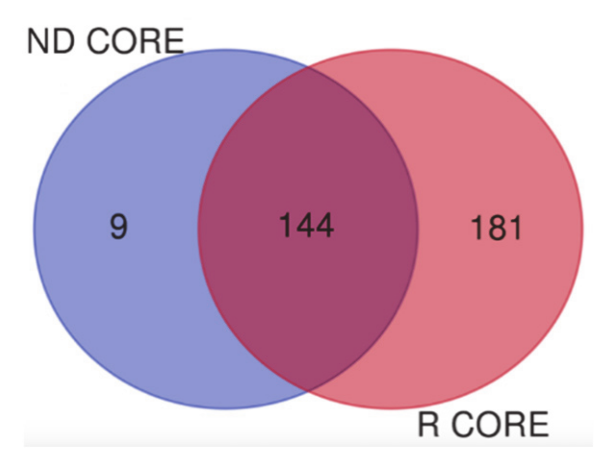 Cancers 13 00030 g012