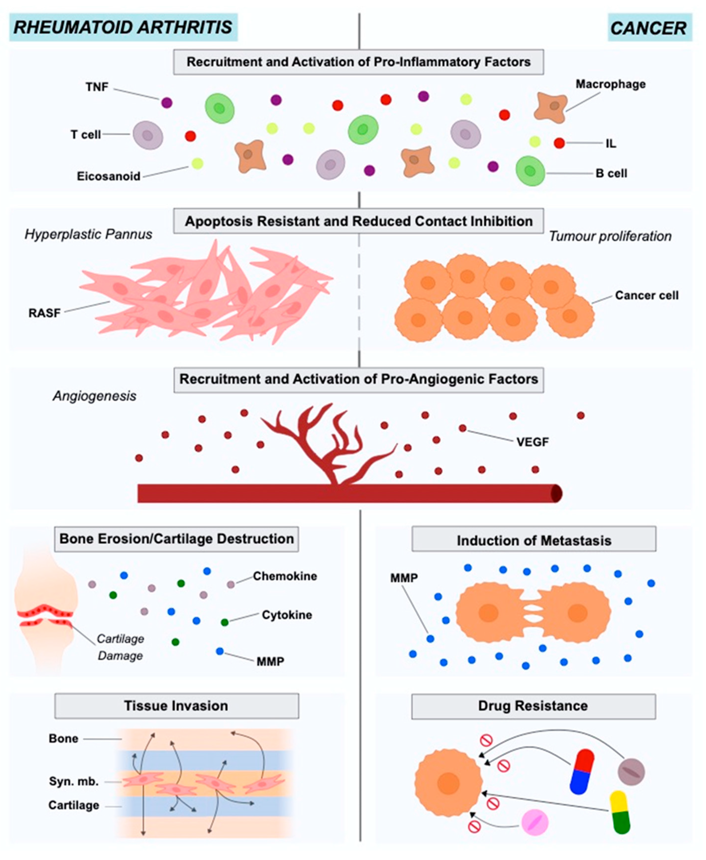 Cancers 13 00035 g001