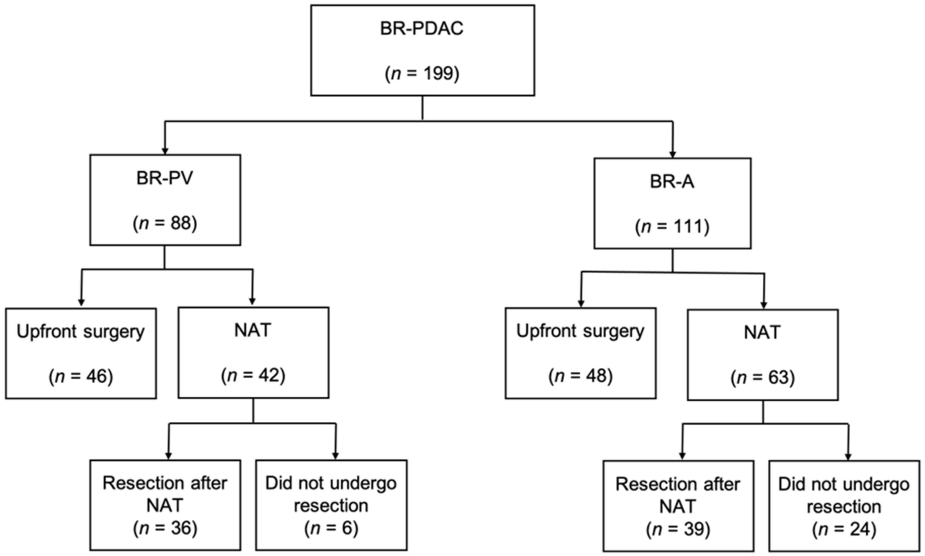 Cancers 13 00036 g001