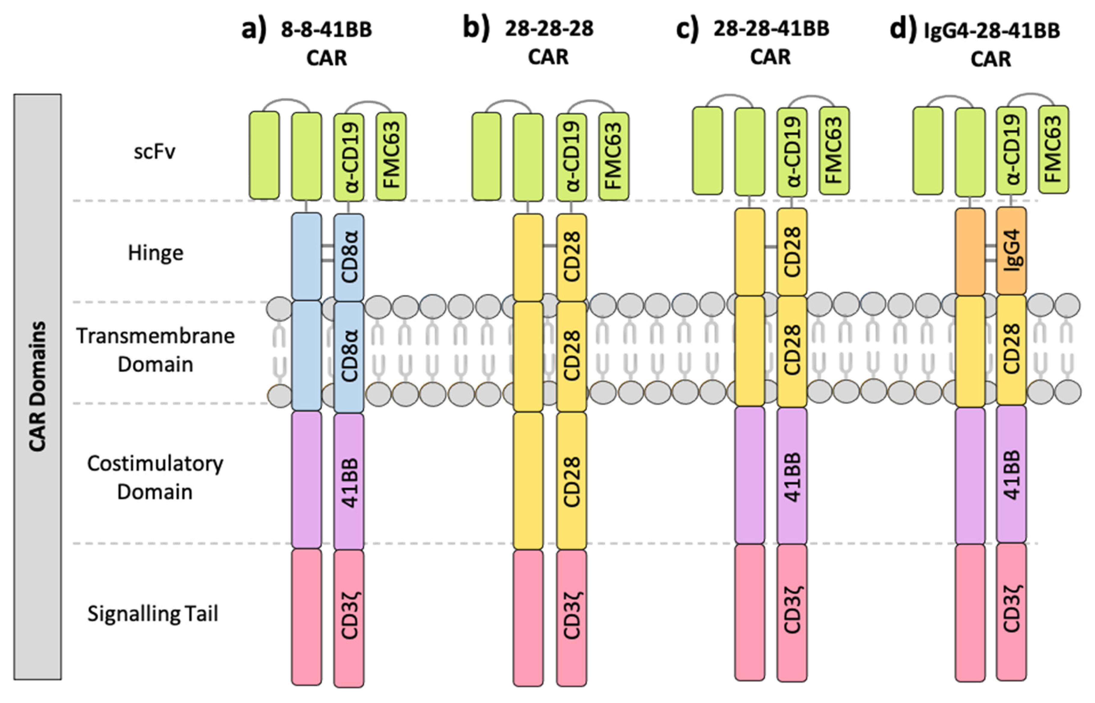 Cancers 13 00038 g001