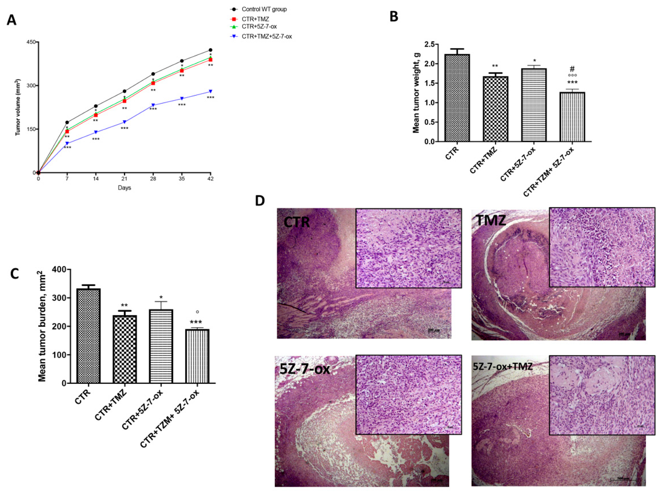 Cancers 13 00041 g006