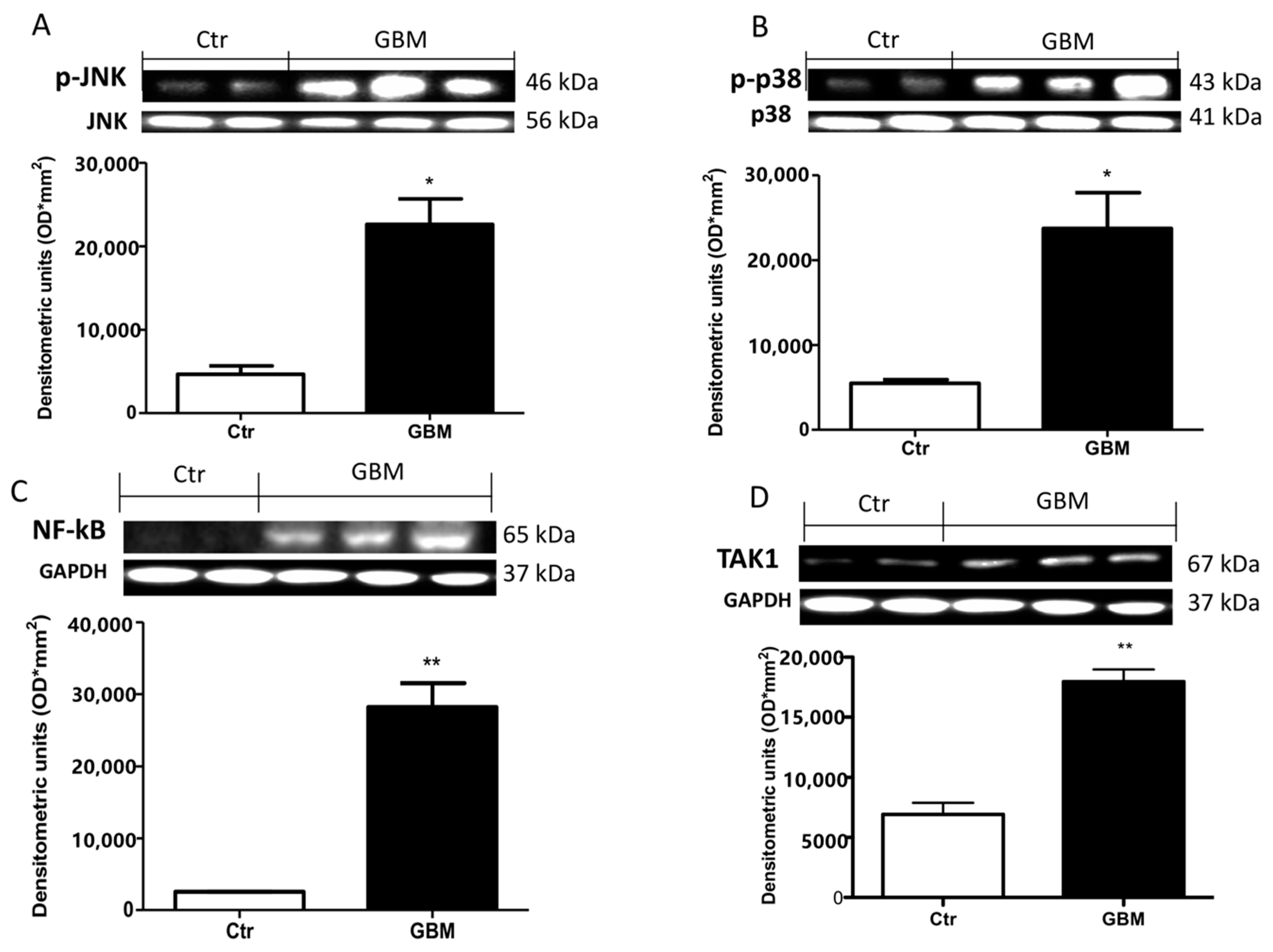 Cancers 13 00041 g008