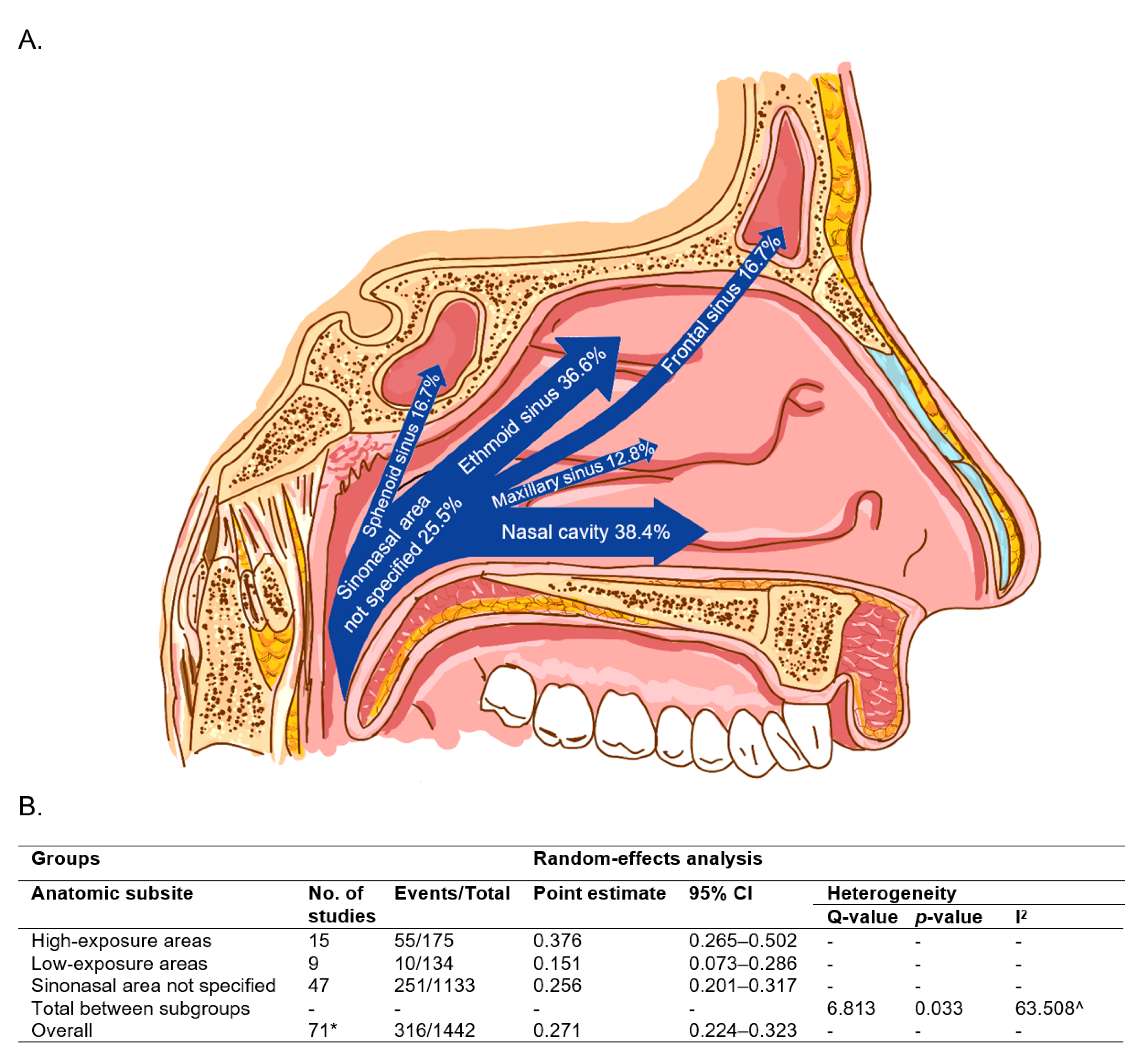 Cancers 13 00045 g002 Cancers 13 00045 g002