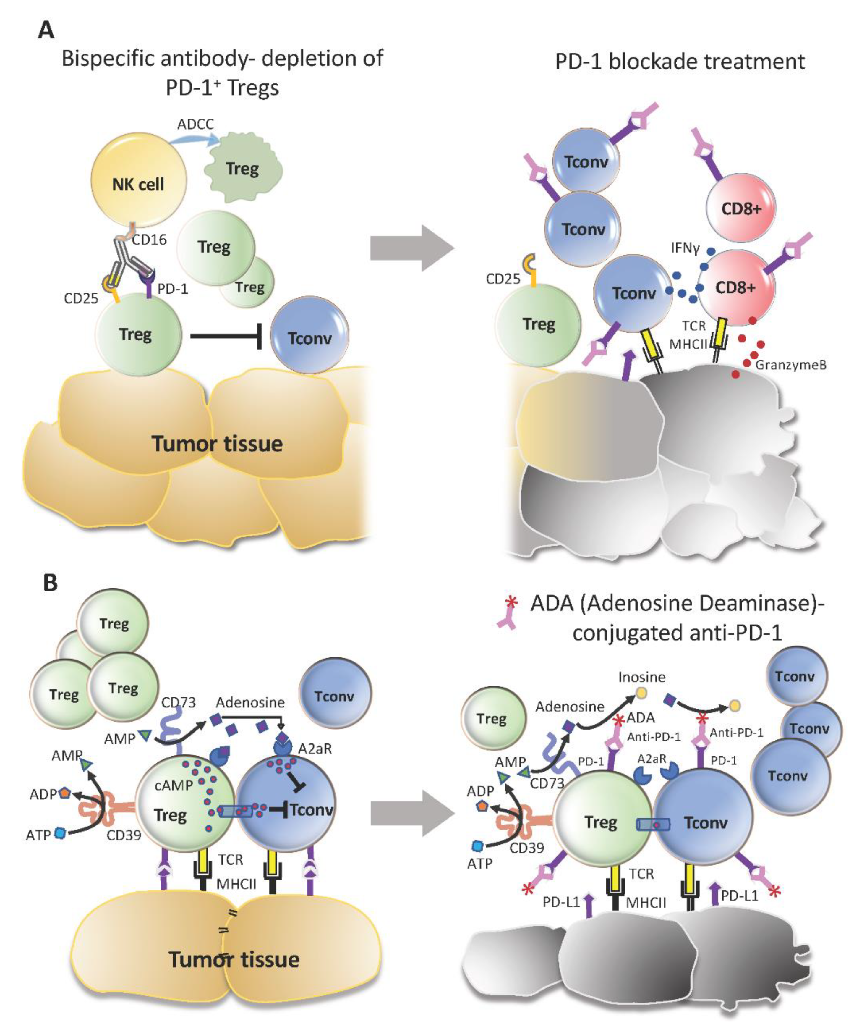 Cancers 13 00048 g003