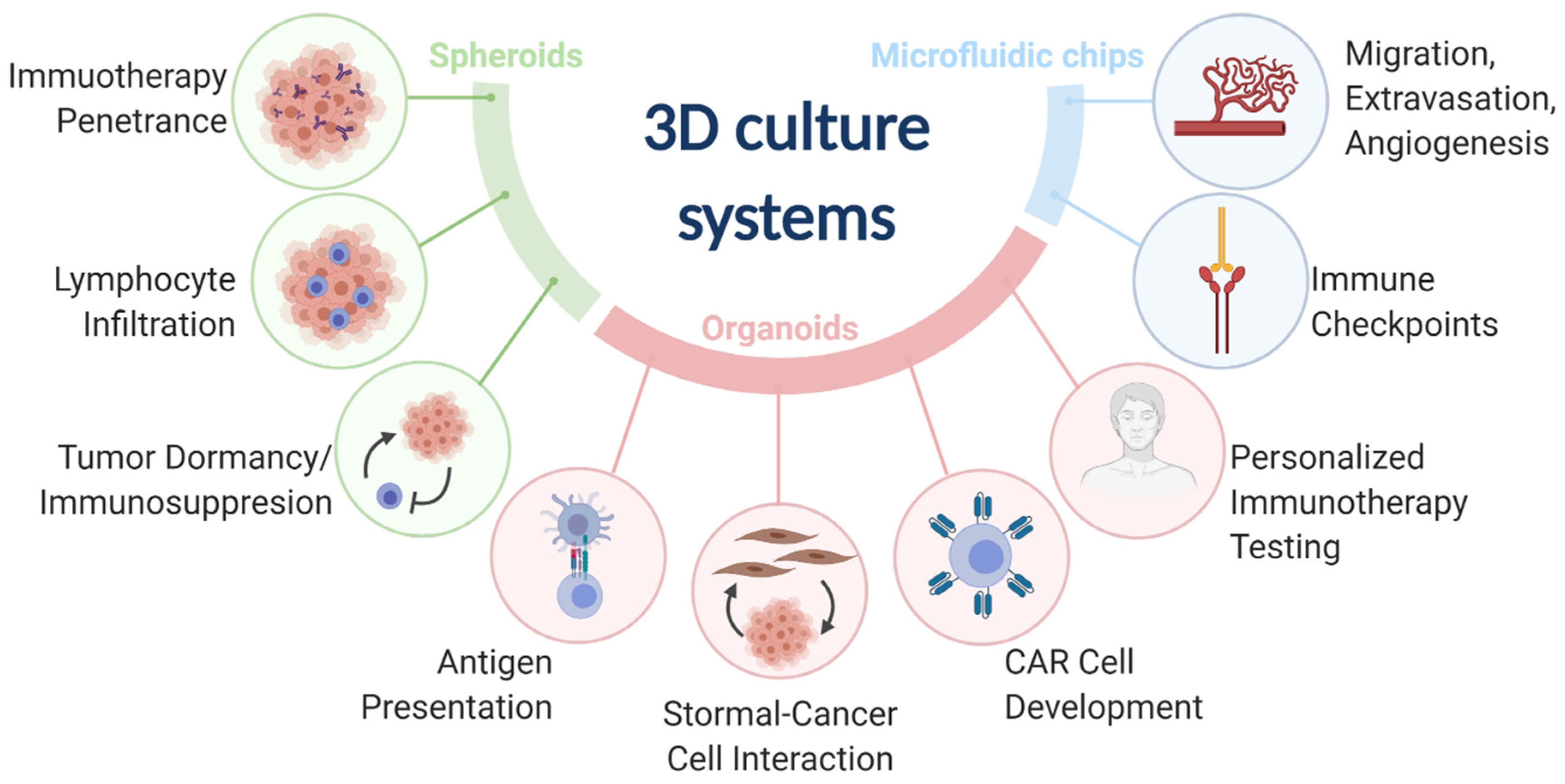 Cancers 13 00056 g001