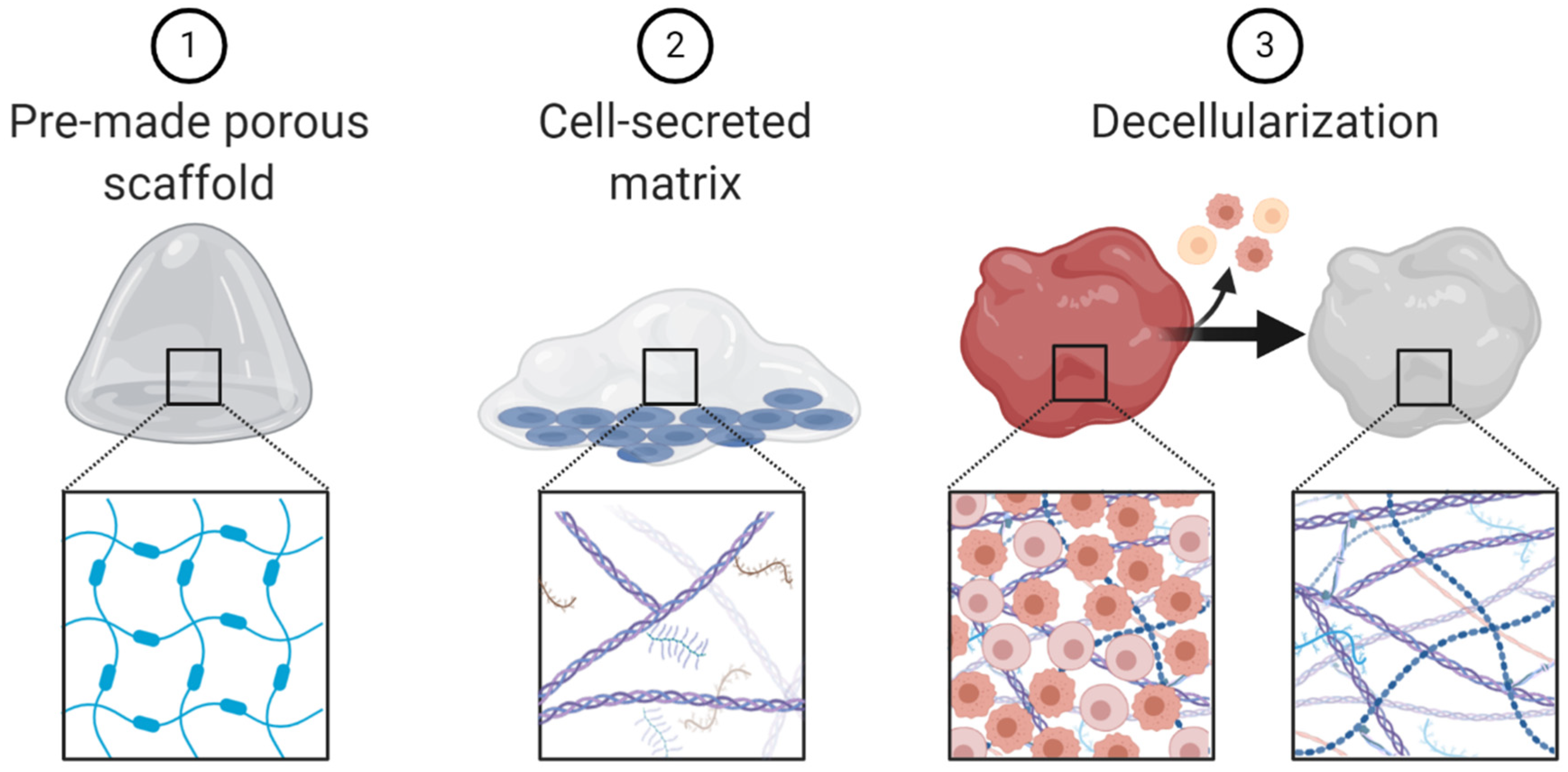 Cancers 13 00056 g005