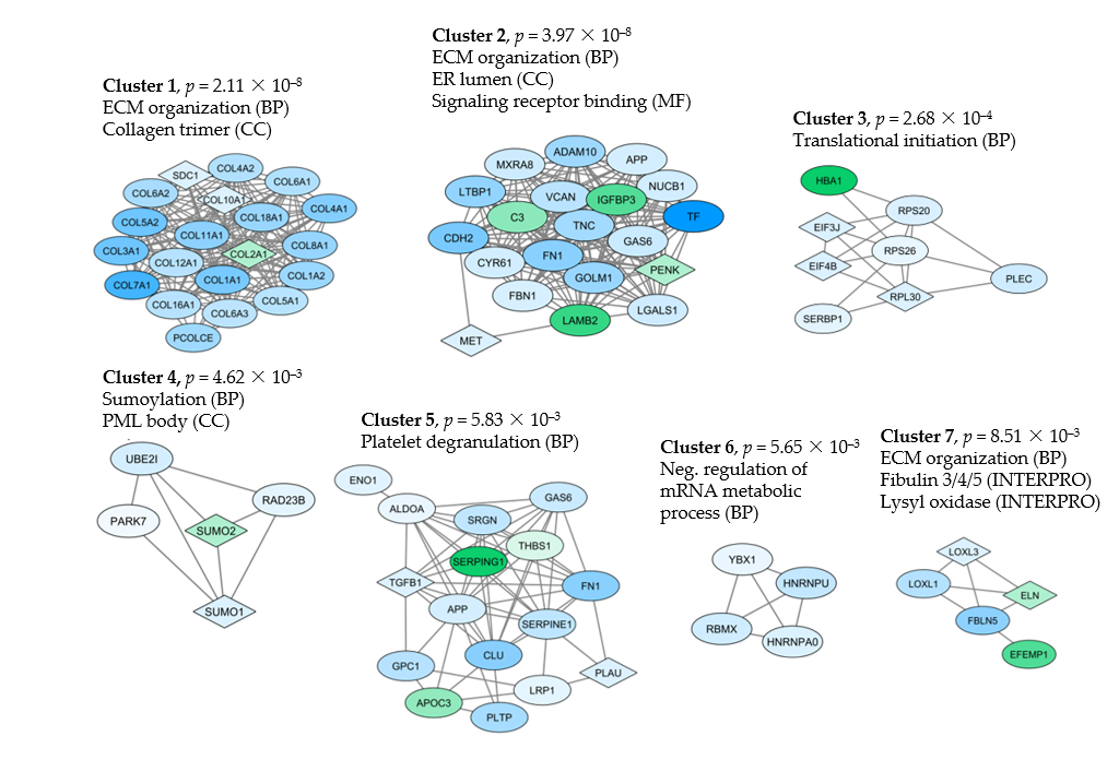 Cancers 13 00062 g003