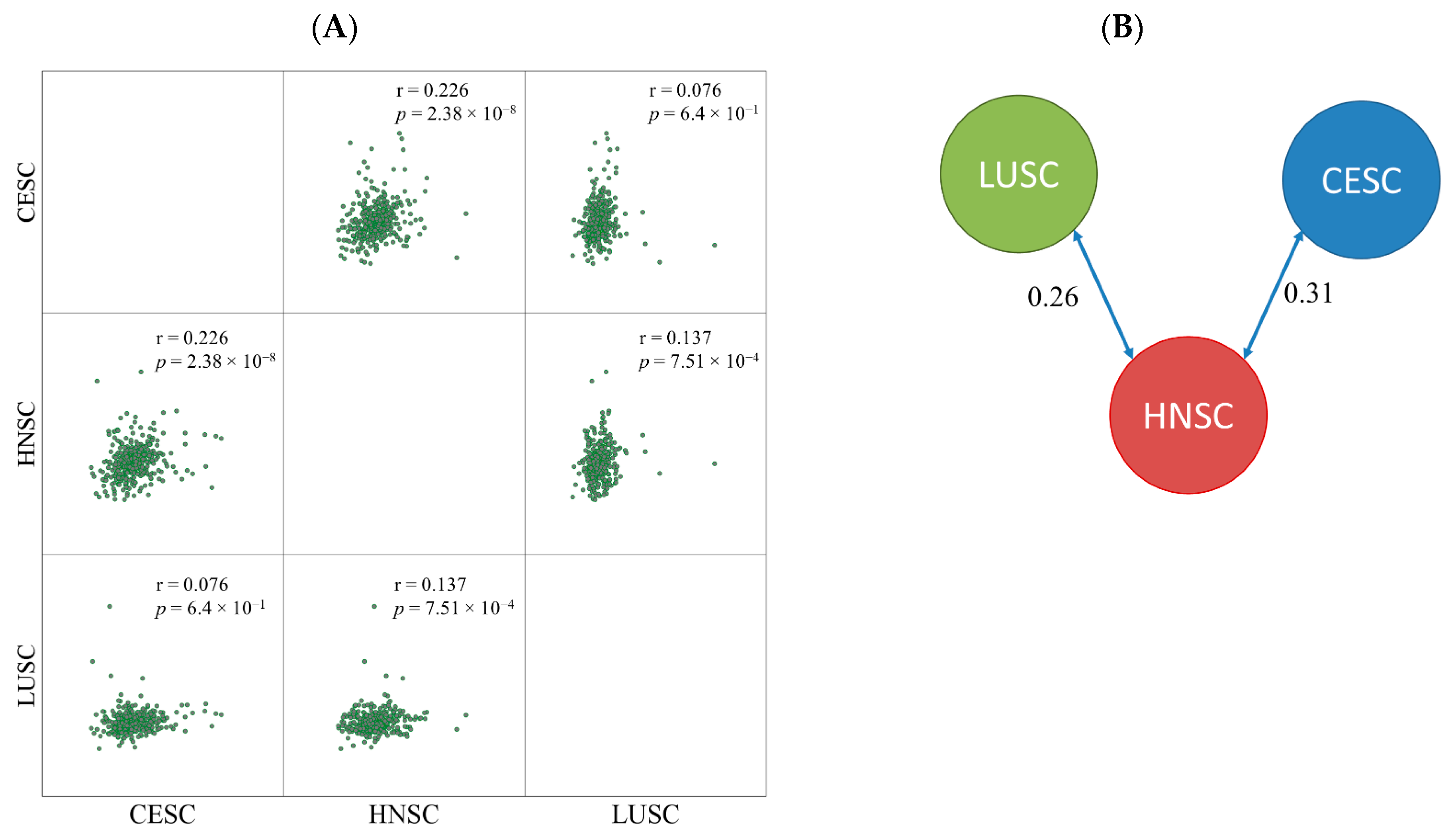 Cancers 13 00063 g002