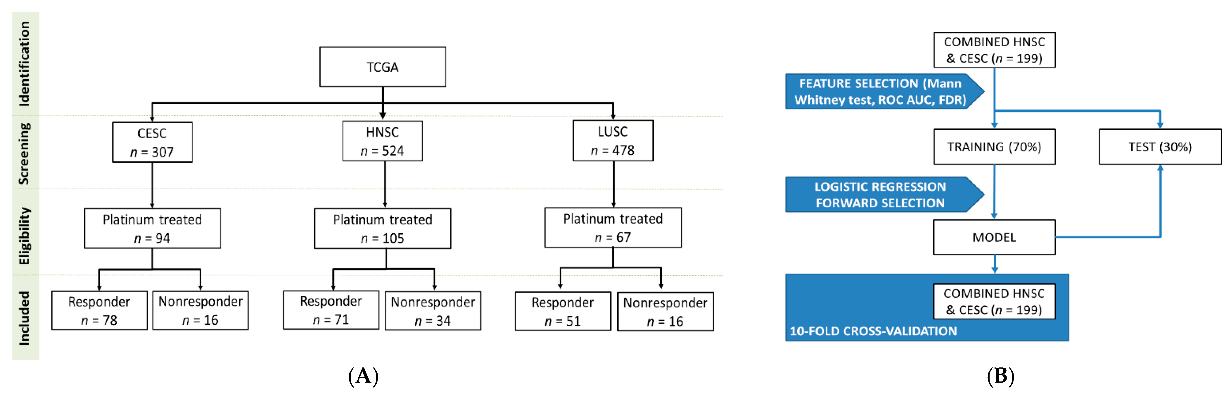 Cancers 13 00063 g004