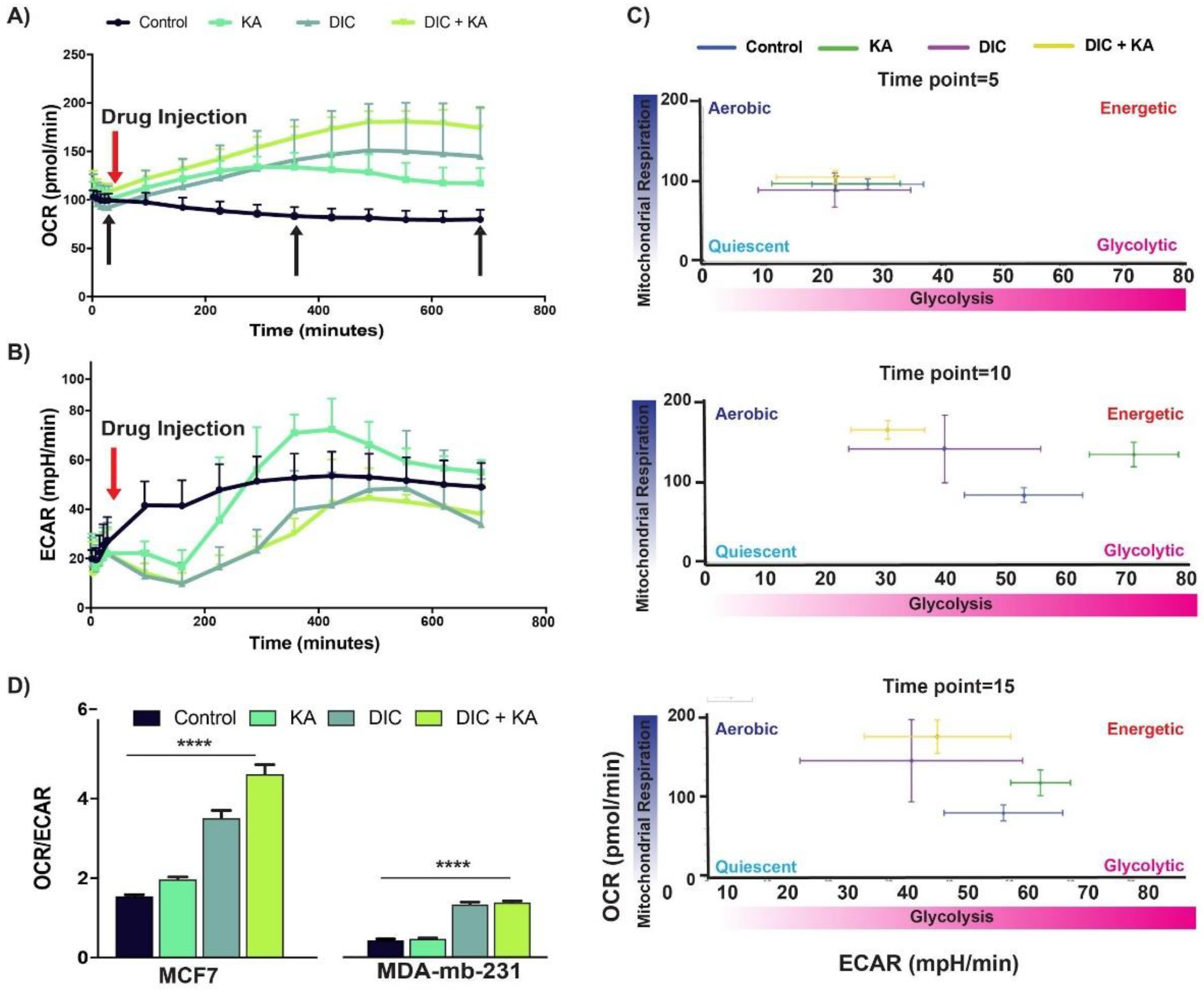 Cancers 13 00064 g003 Cancers 13 00064 g003