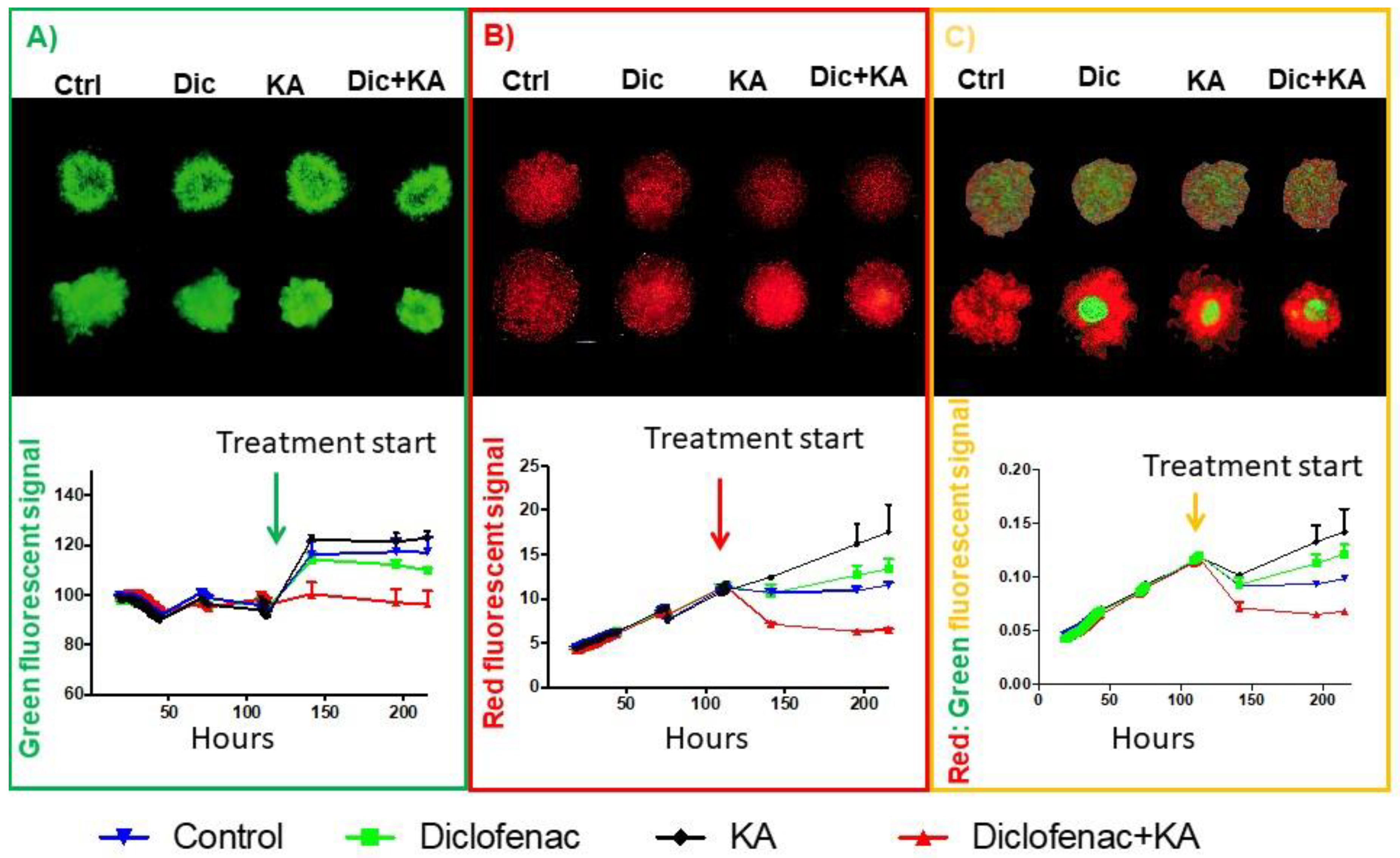 Cancers 13 00064 g004 Cancers 13 00064 g004