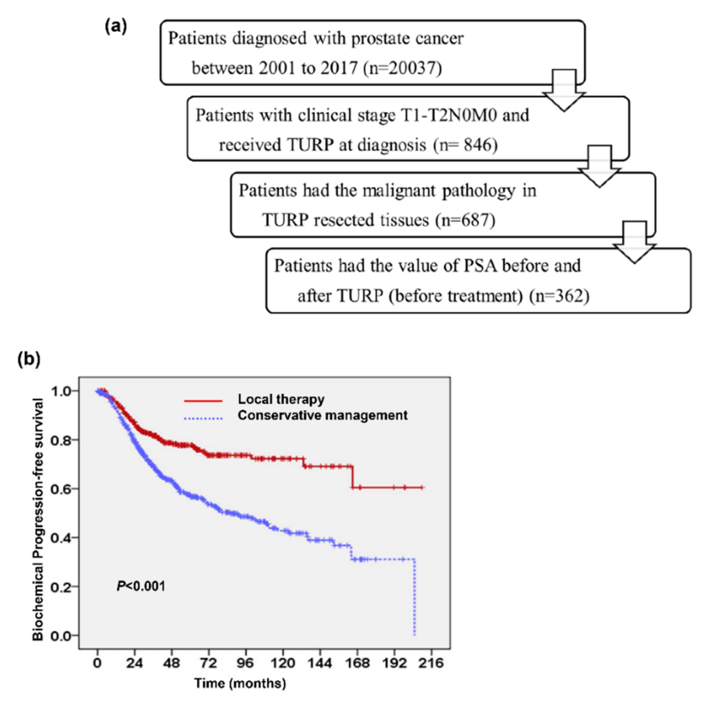 Cancers 13 00074 g001