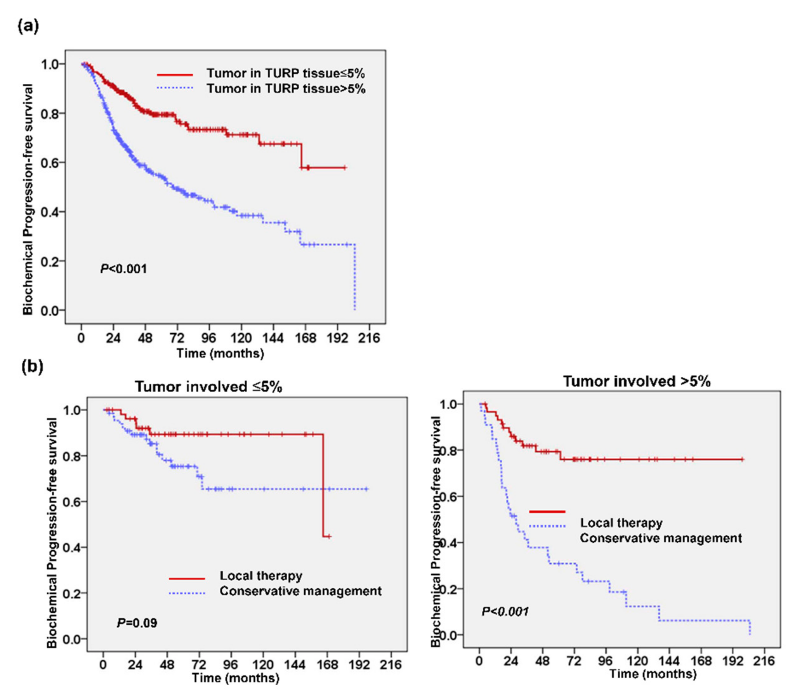 Cancers 13 00074 g003