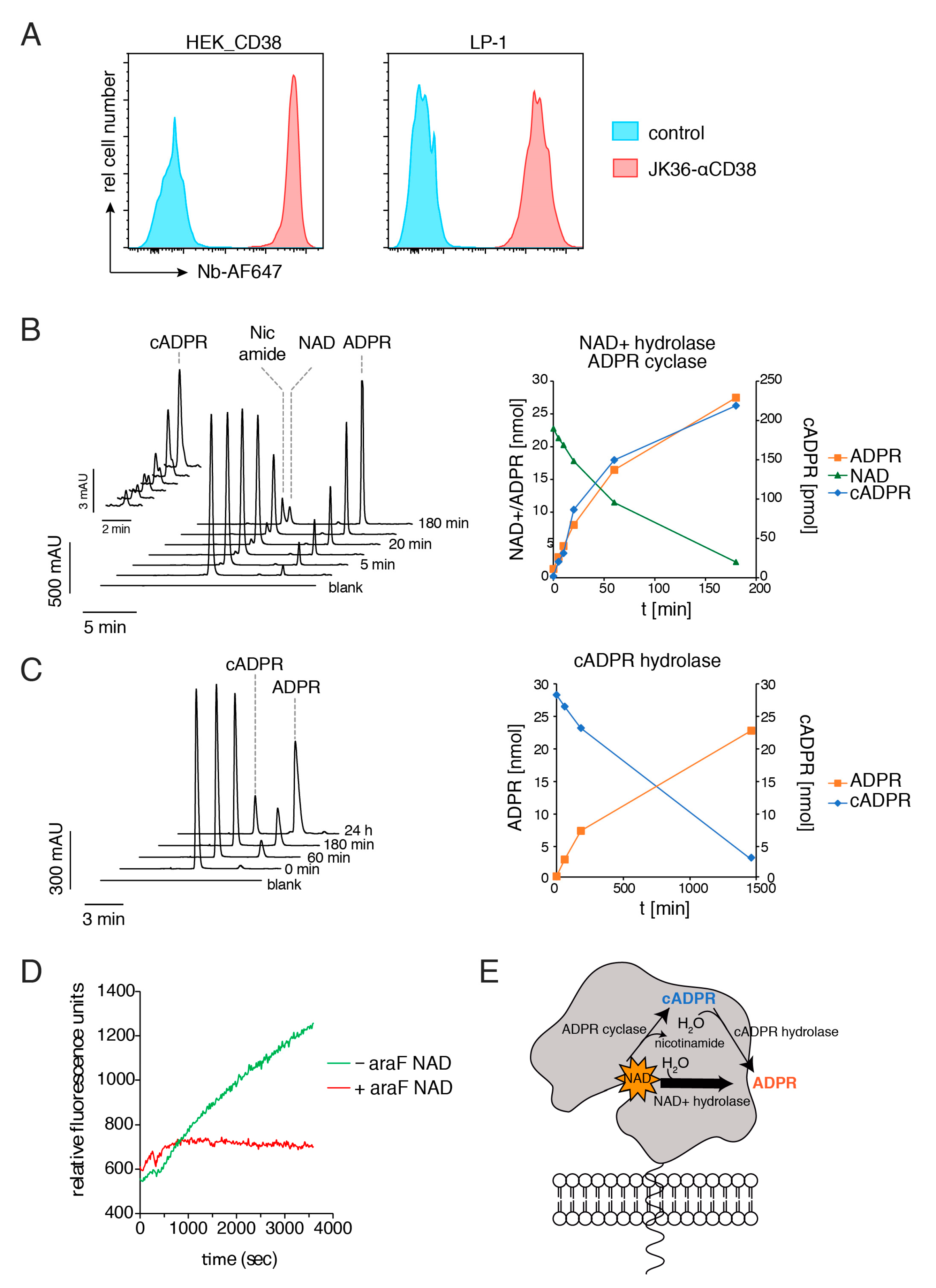 Cancers 13 00076 g001