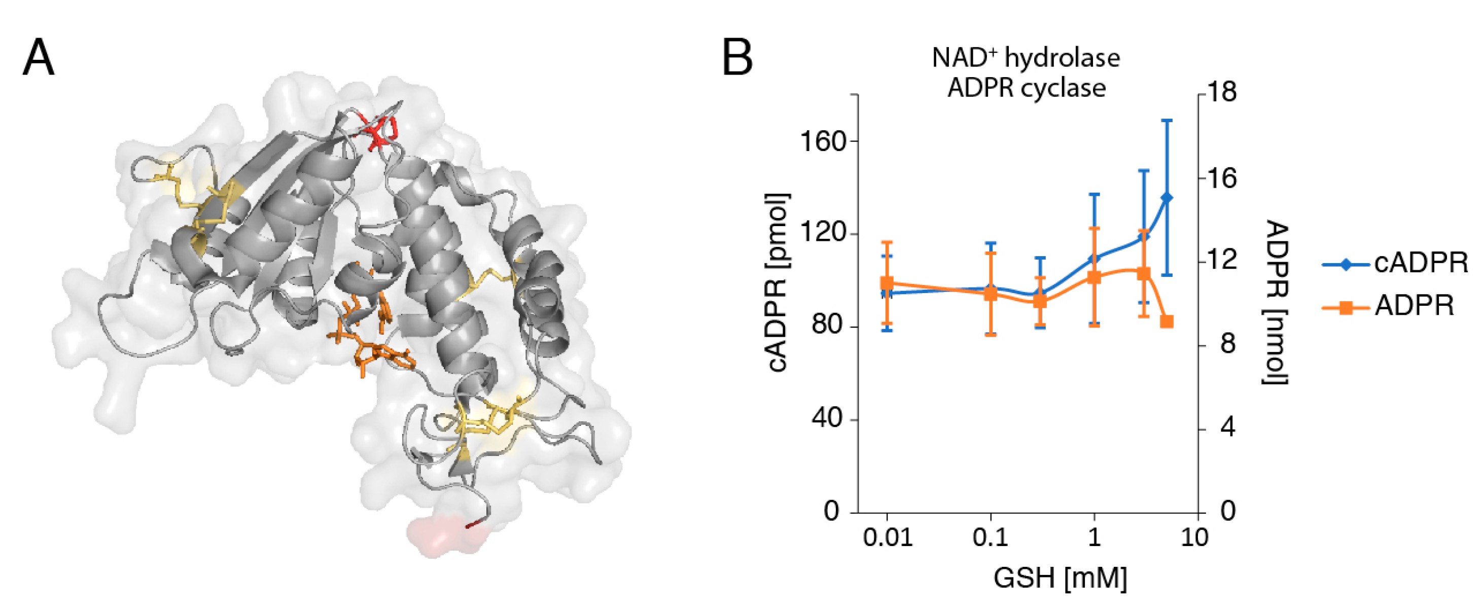 Cancers 13 00076 g004