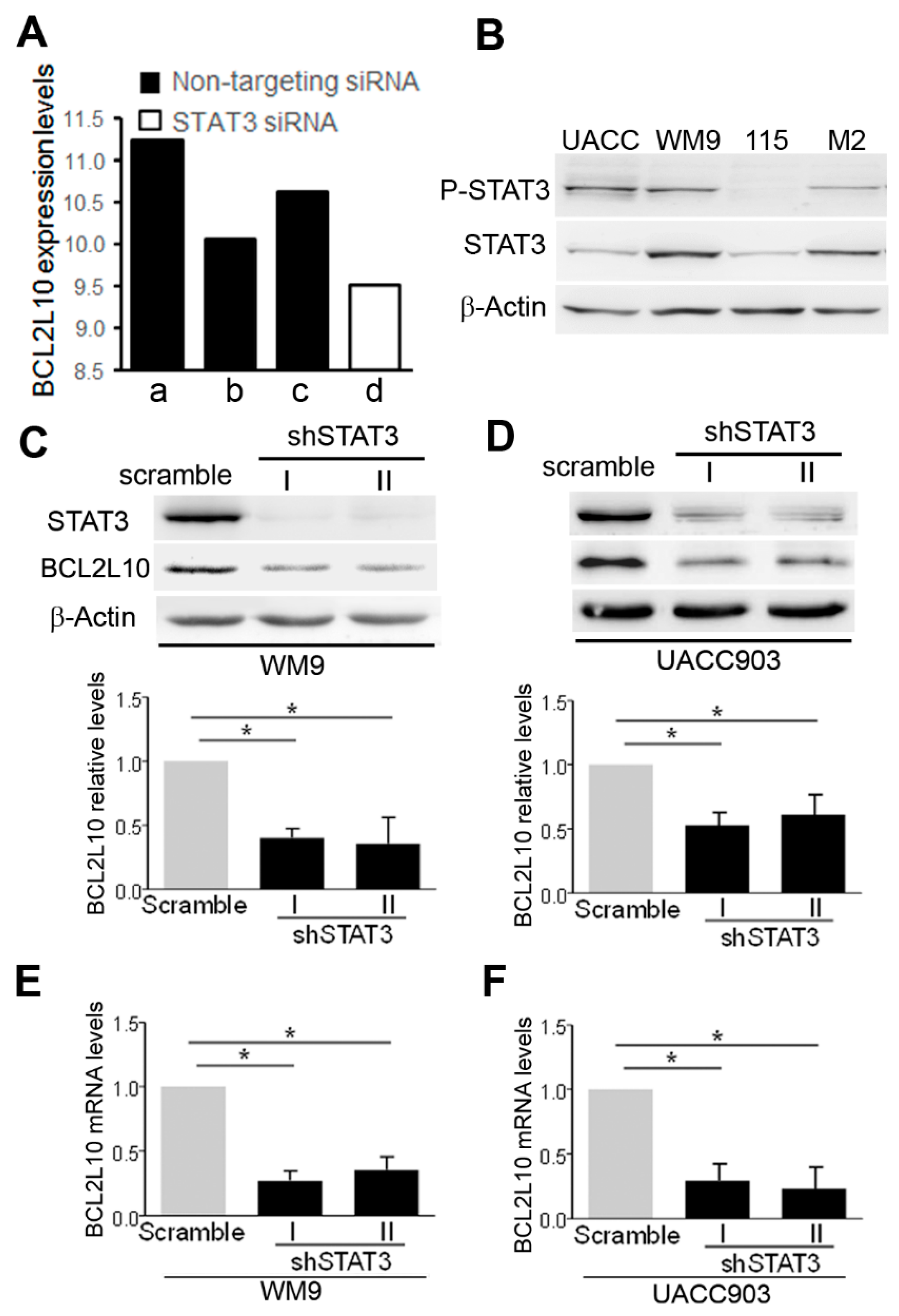 Cancers 13 00078 g003