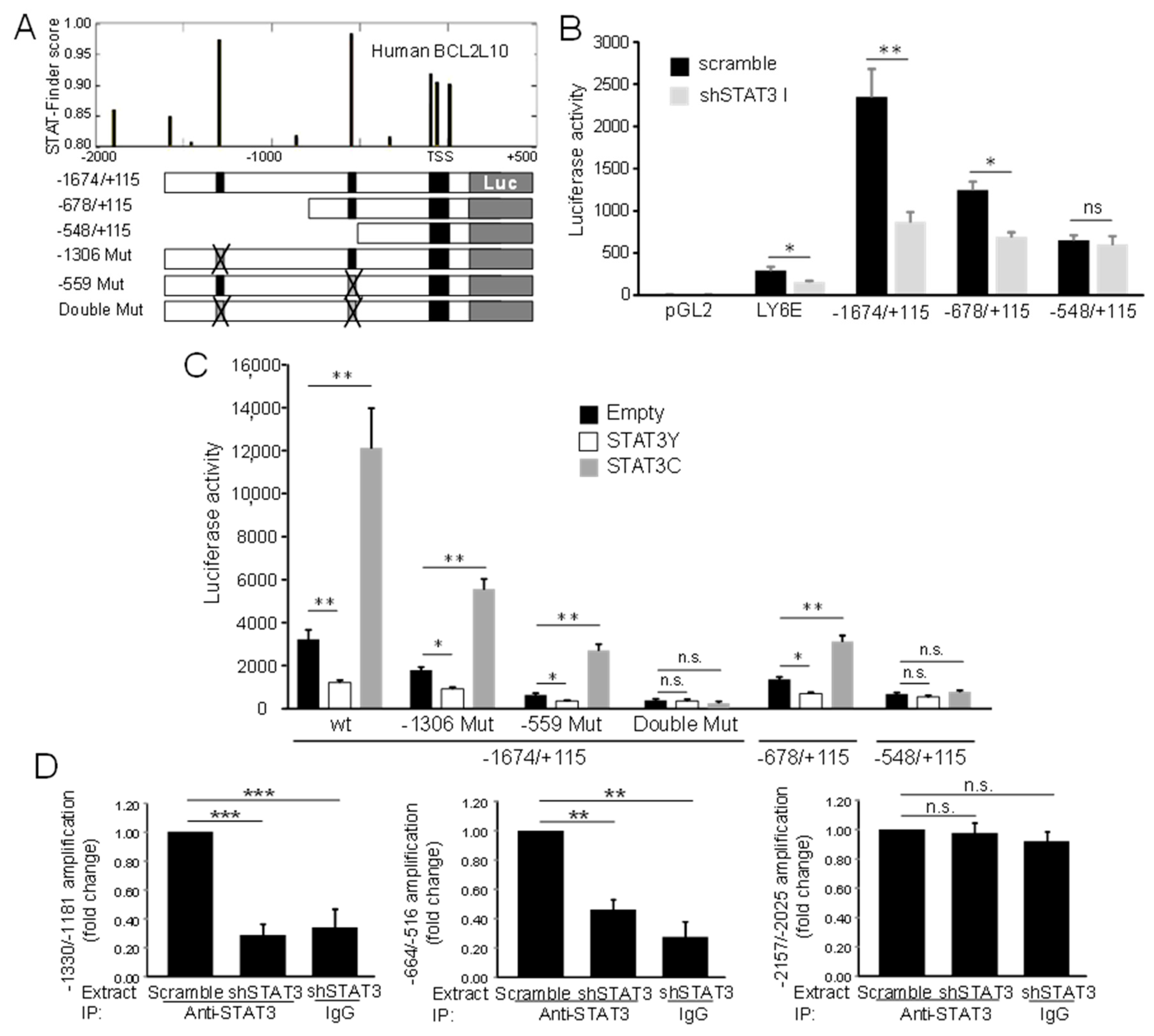 Cancers 13 00078 g004