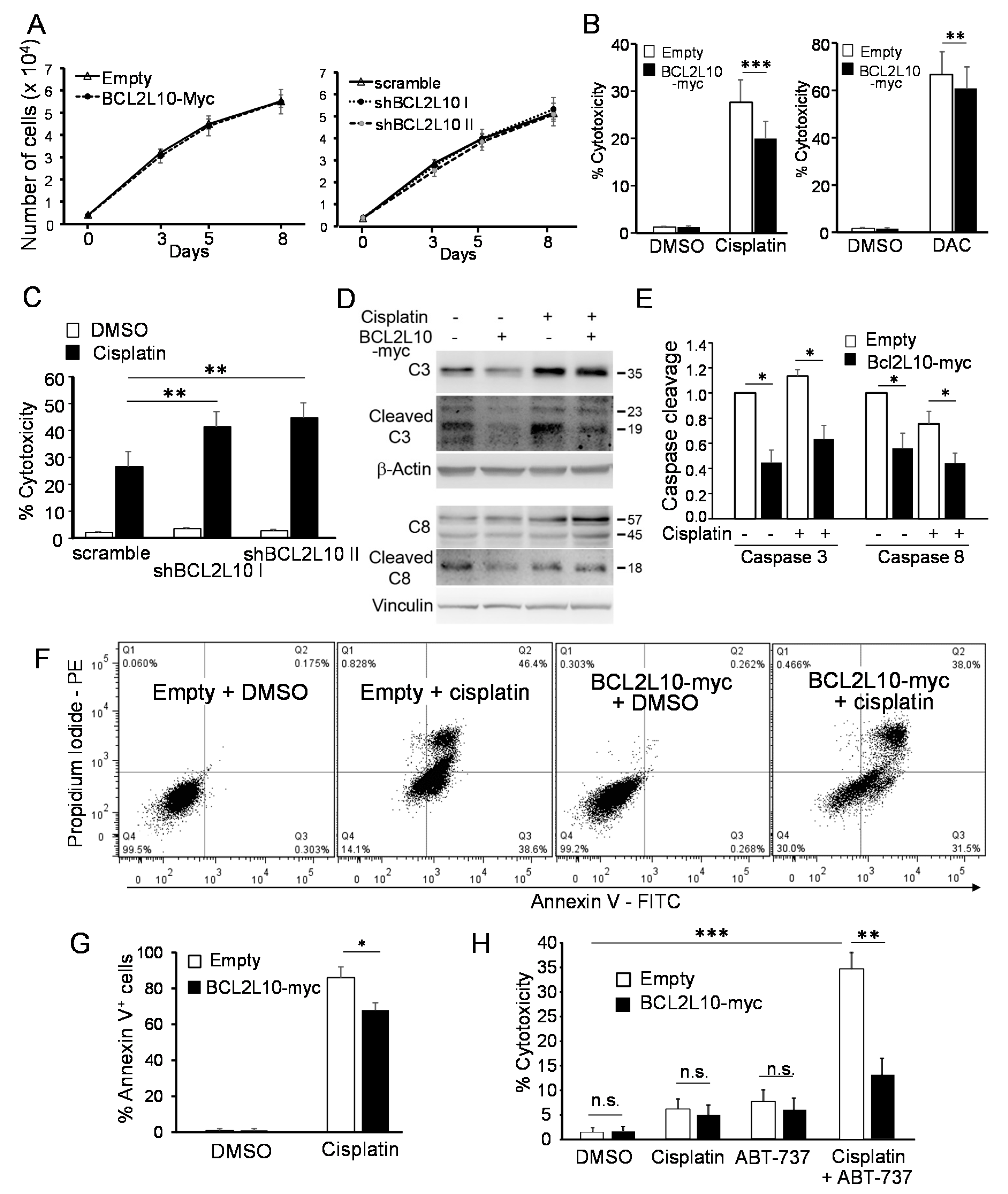 Cancers 13 00078 g005