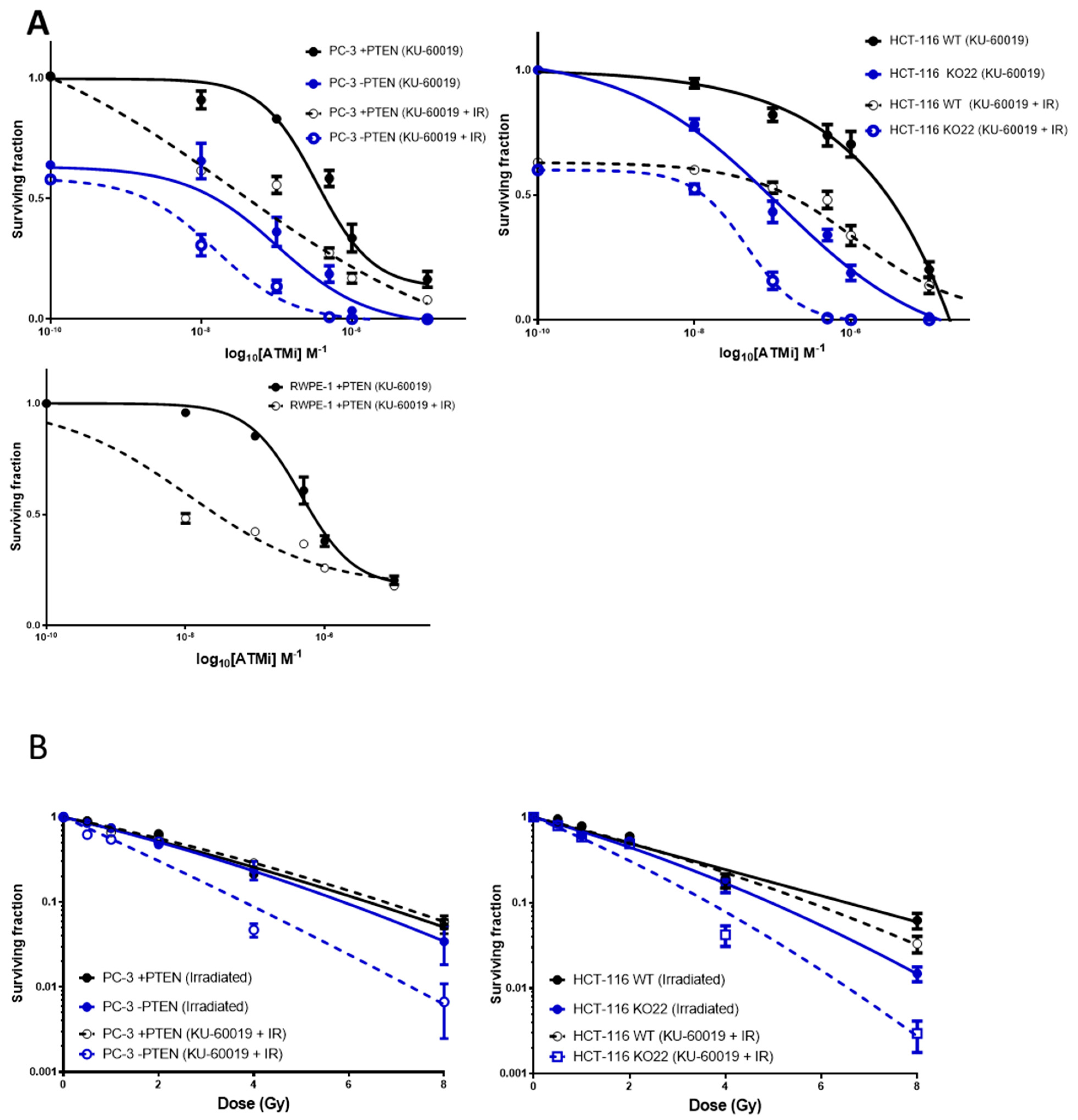 Cancers 13 00079 g002 Cancers 13 00079 g002