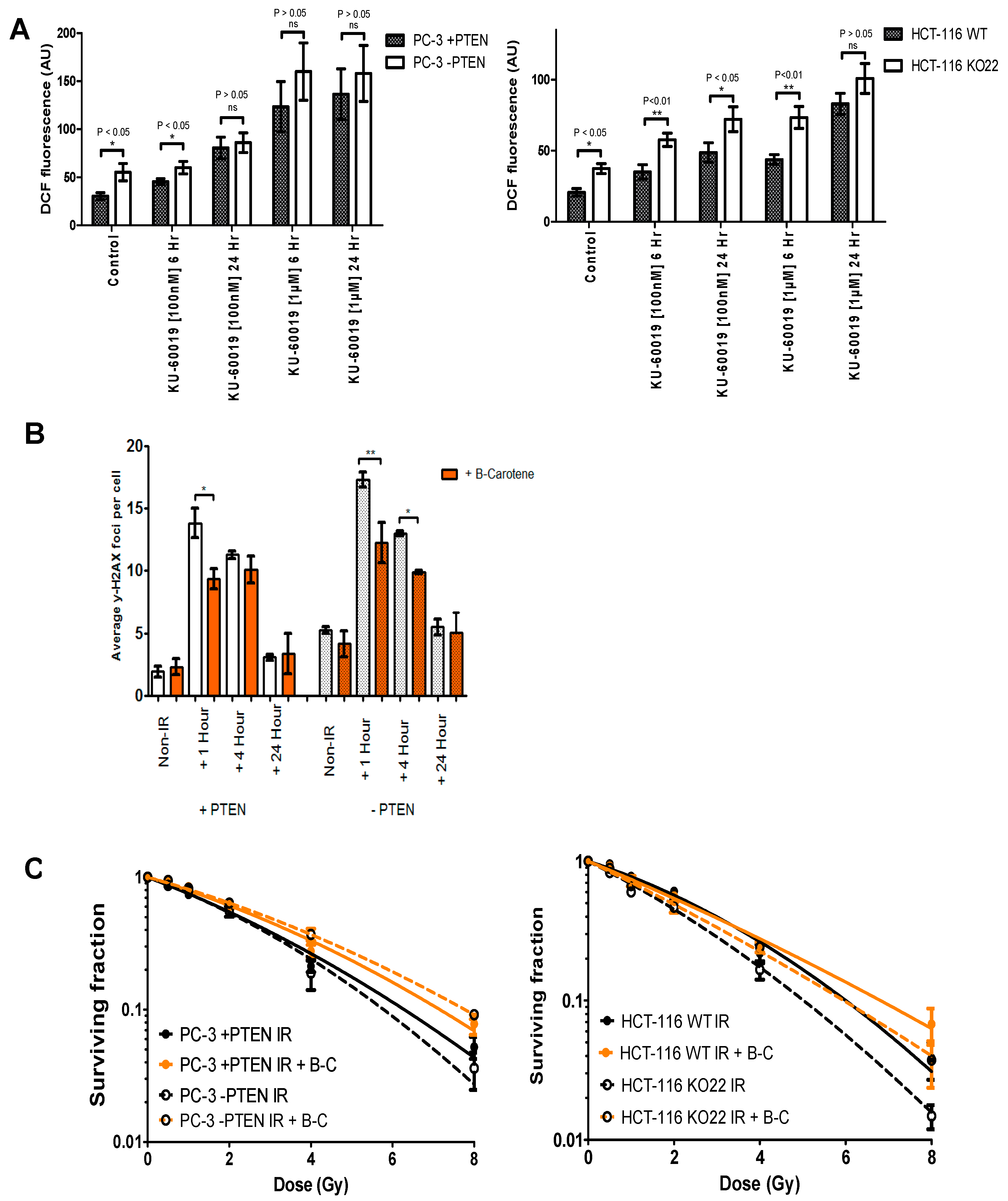 Cancers 13 00079 g005 Cancers 13 00079 g005