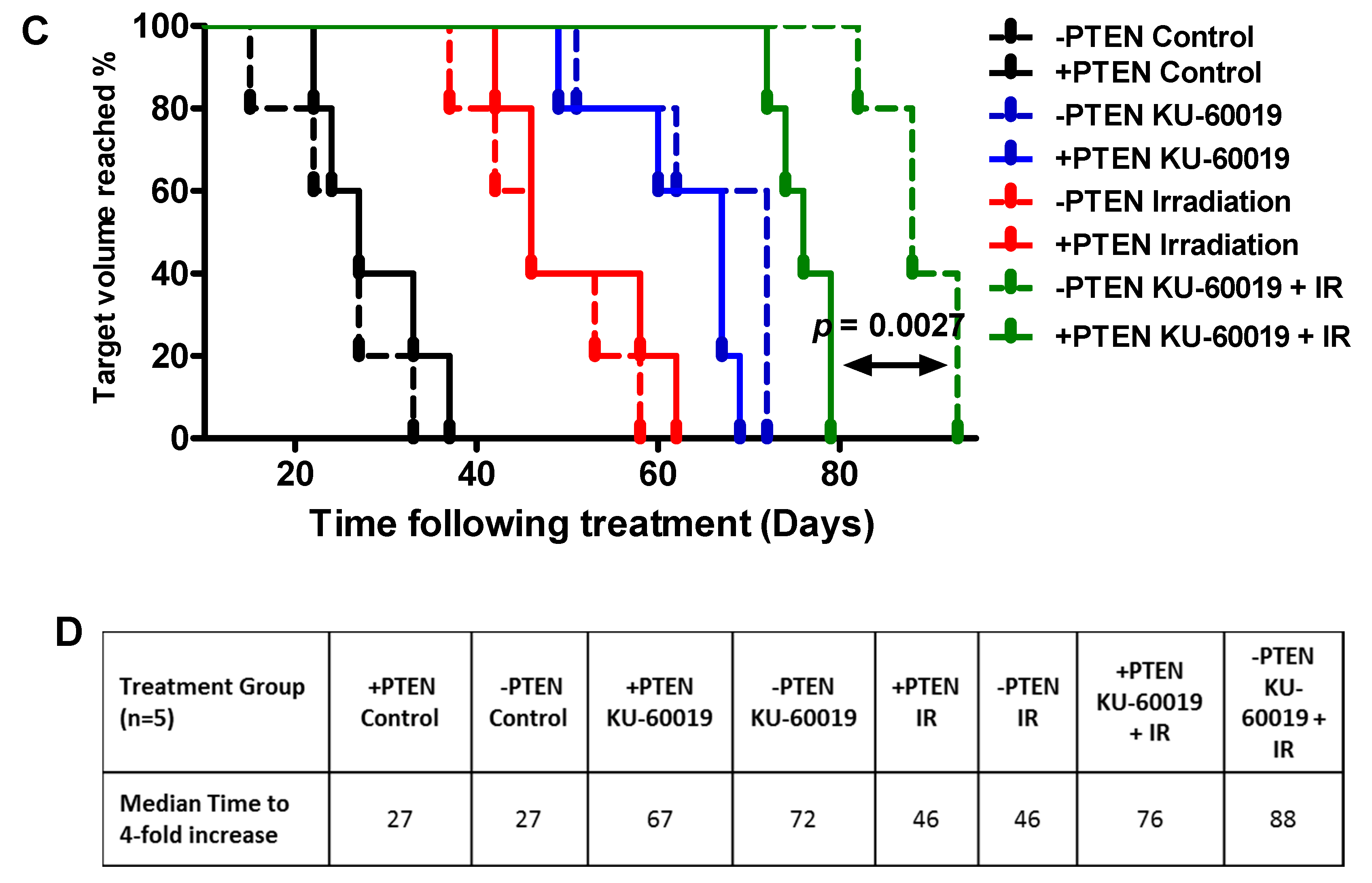 Cancers 13 00079 g006b Cancers 13 00079 g006b
