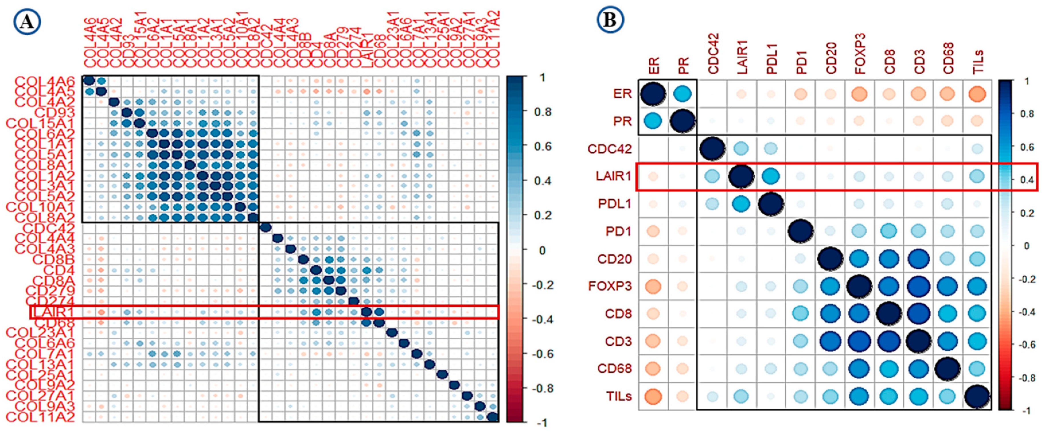 Cancers 13 00080 g002