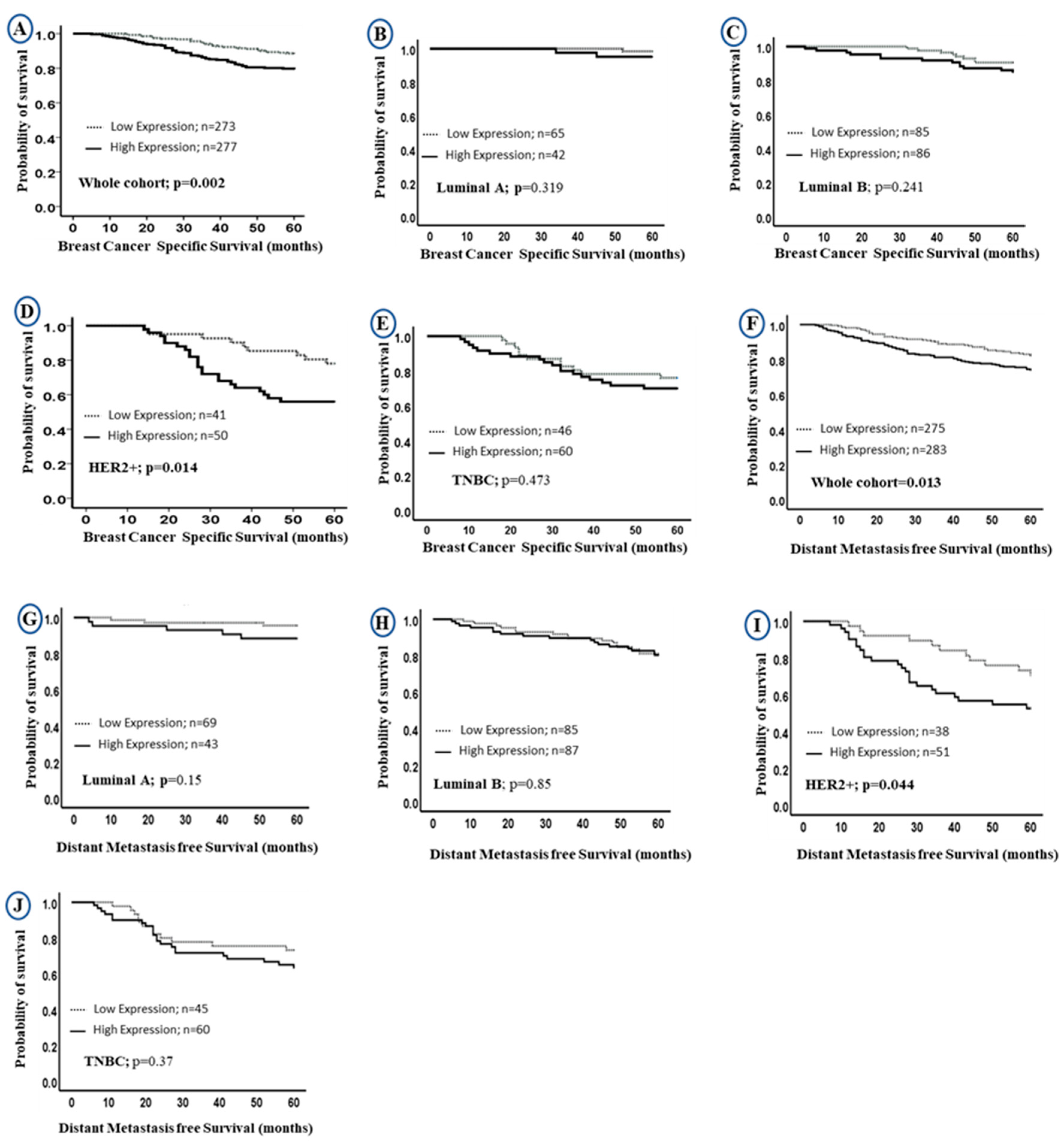 Cancers 13 00080 g003