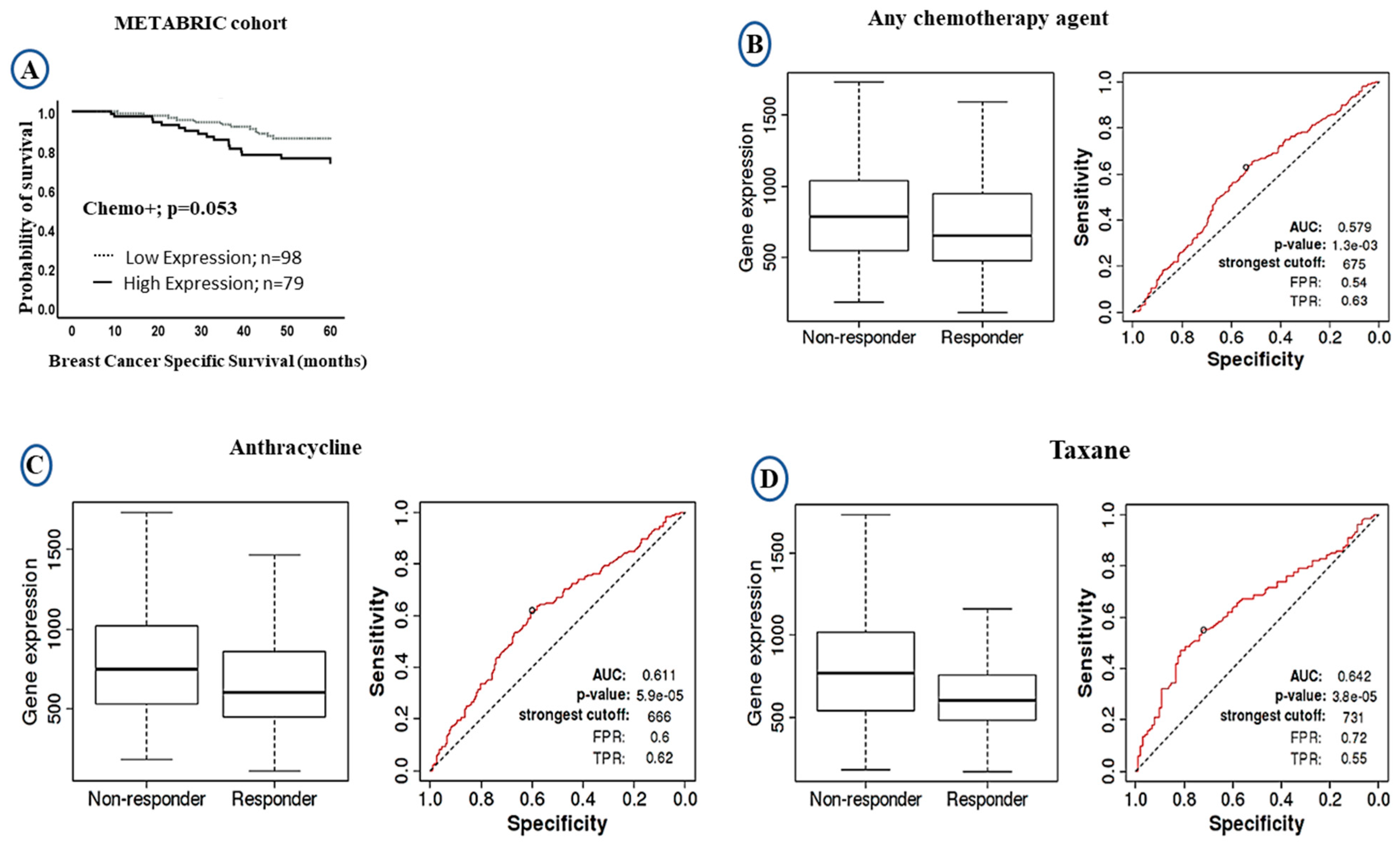 Cancers 13 00080 g004