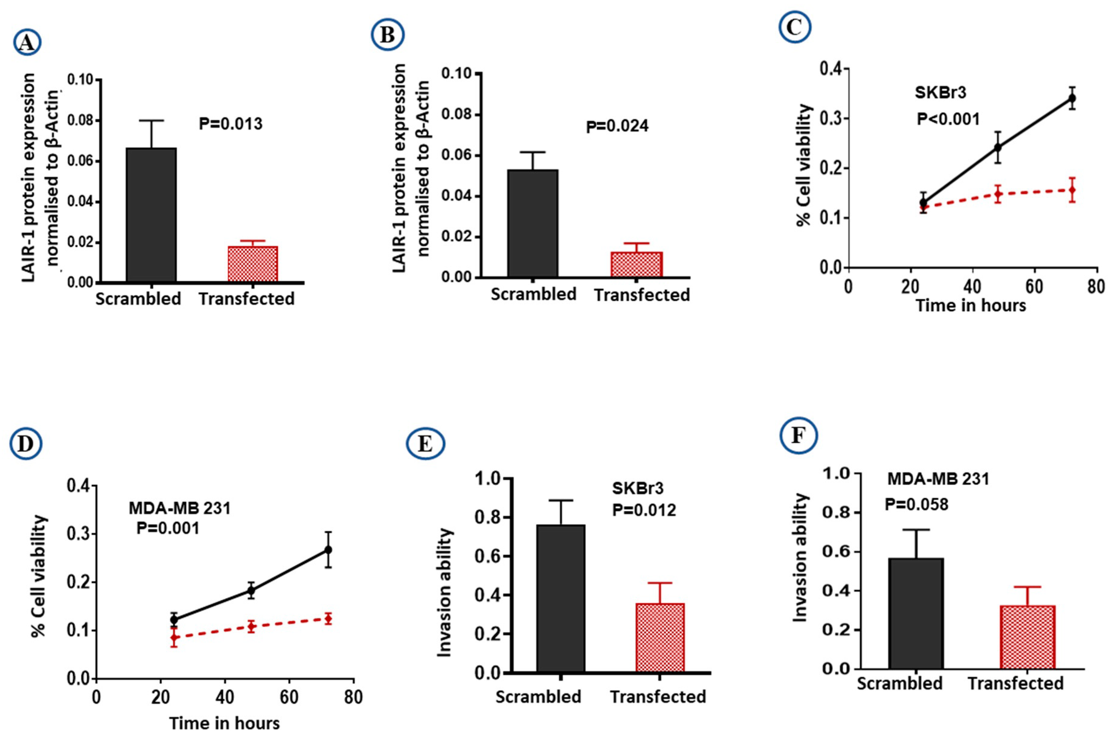 Cancers 13 00080 g005