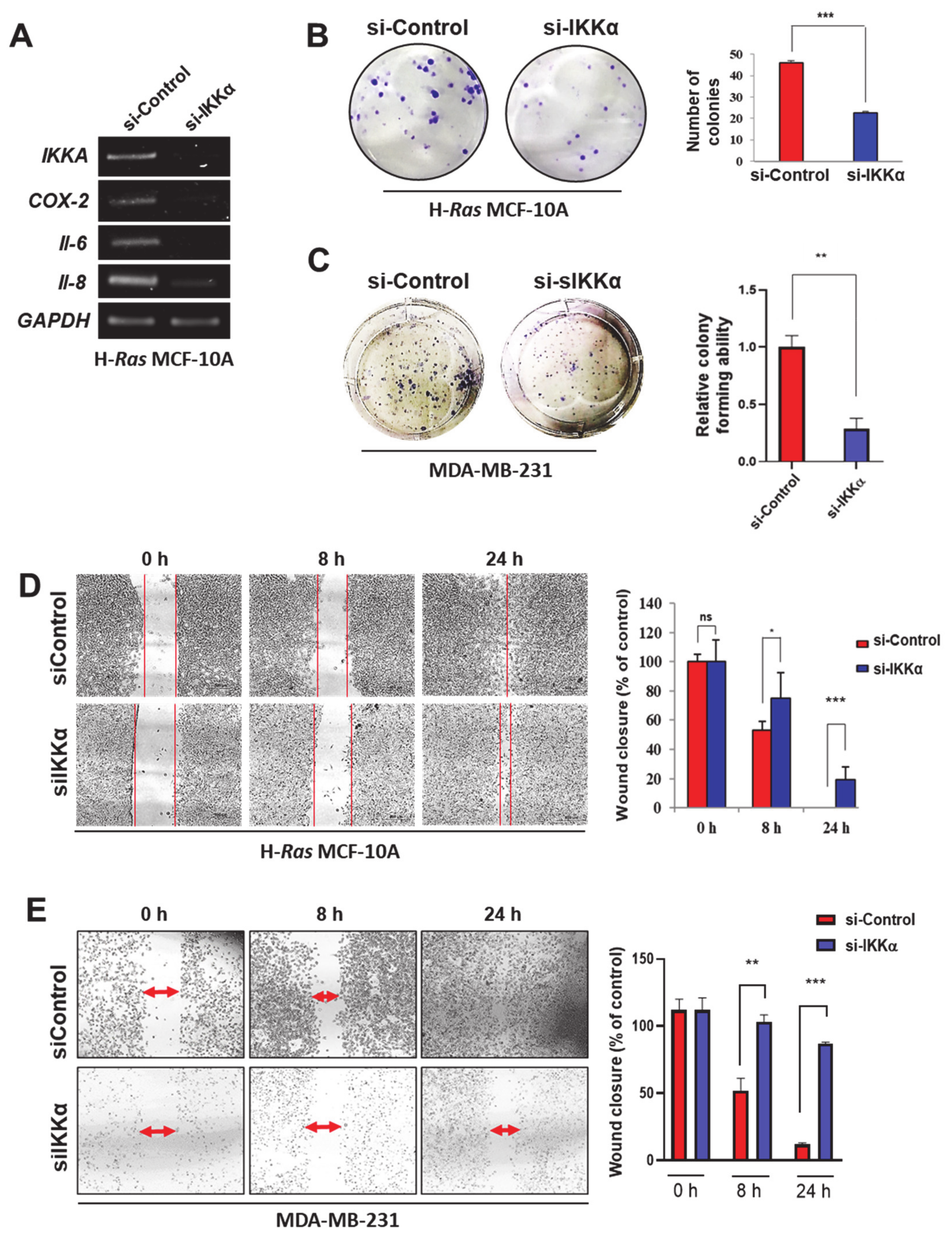 Cancers 13 00082 g002 Cancers 13 00082 g002