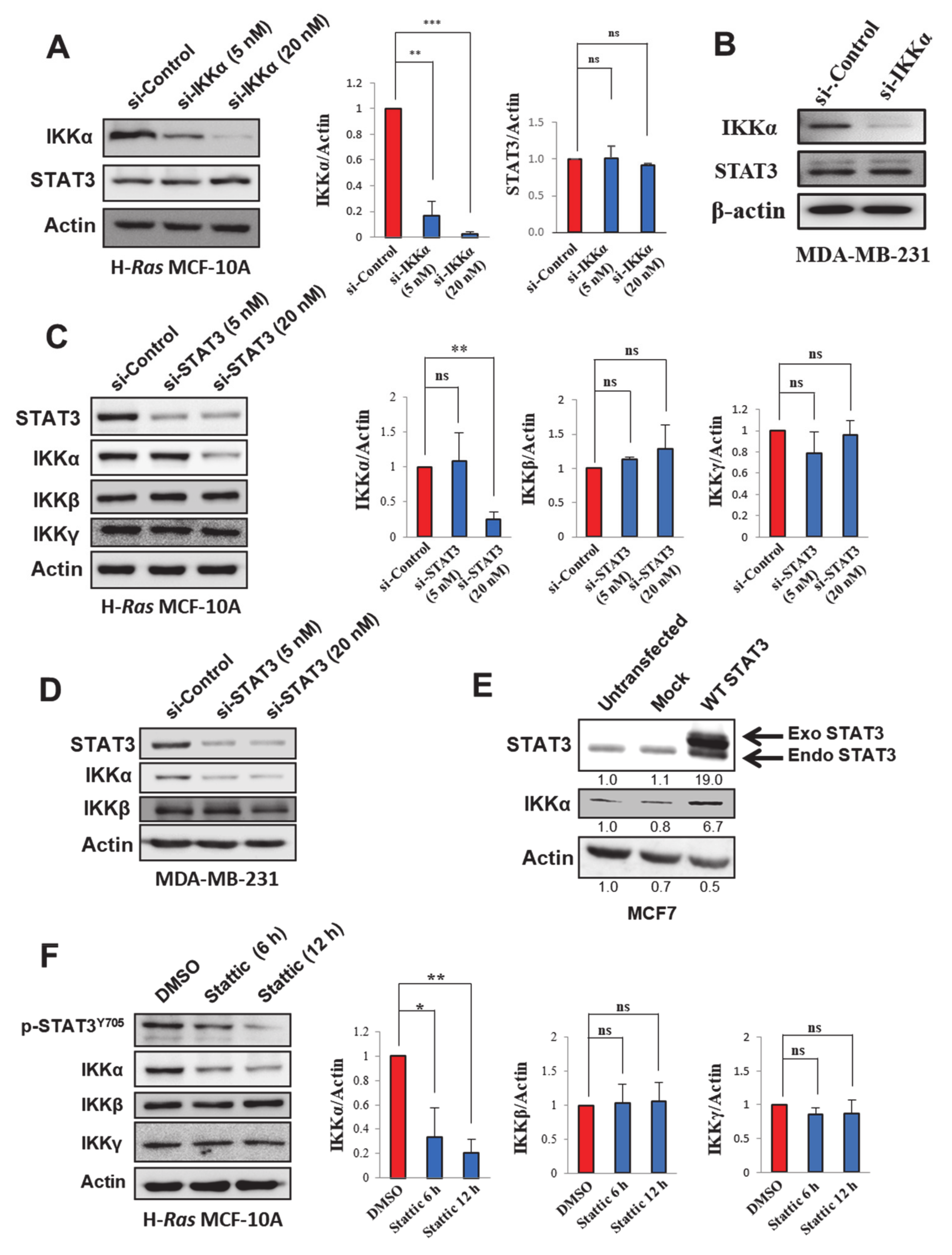 Cancers 13 00082 g003 Cancers 13 00082 g003