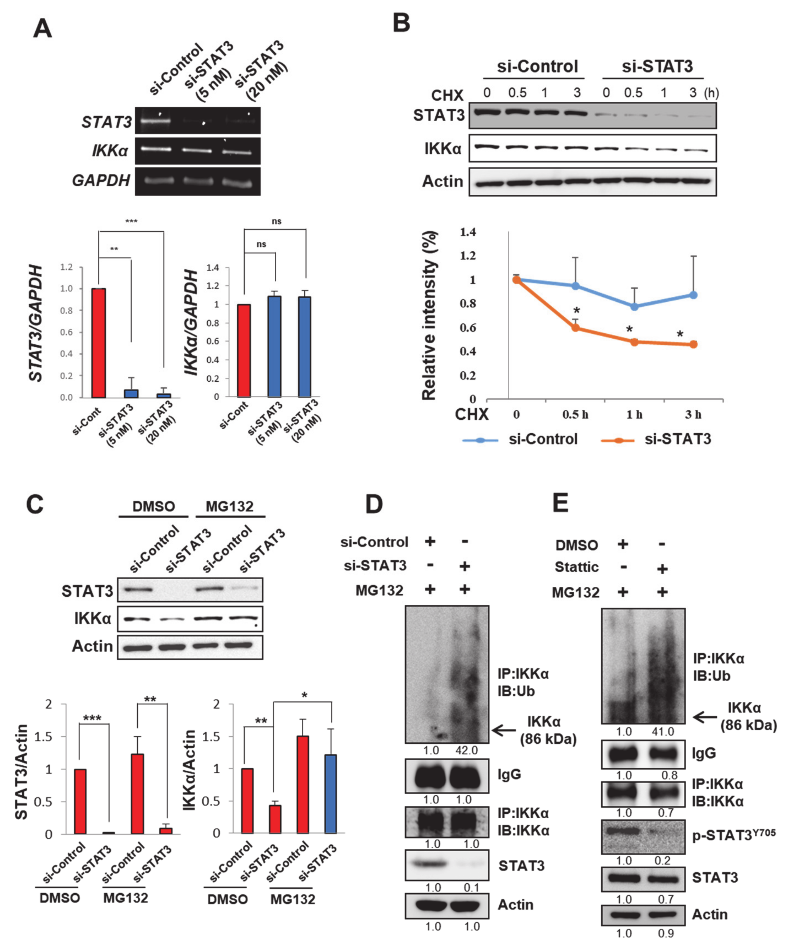 Cancers 13 00082 g004 Cancers 13 00082 g004
