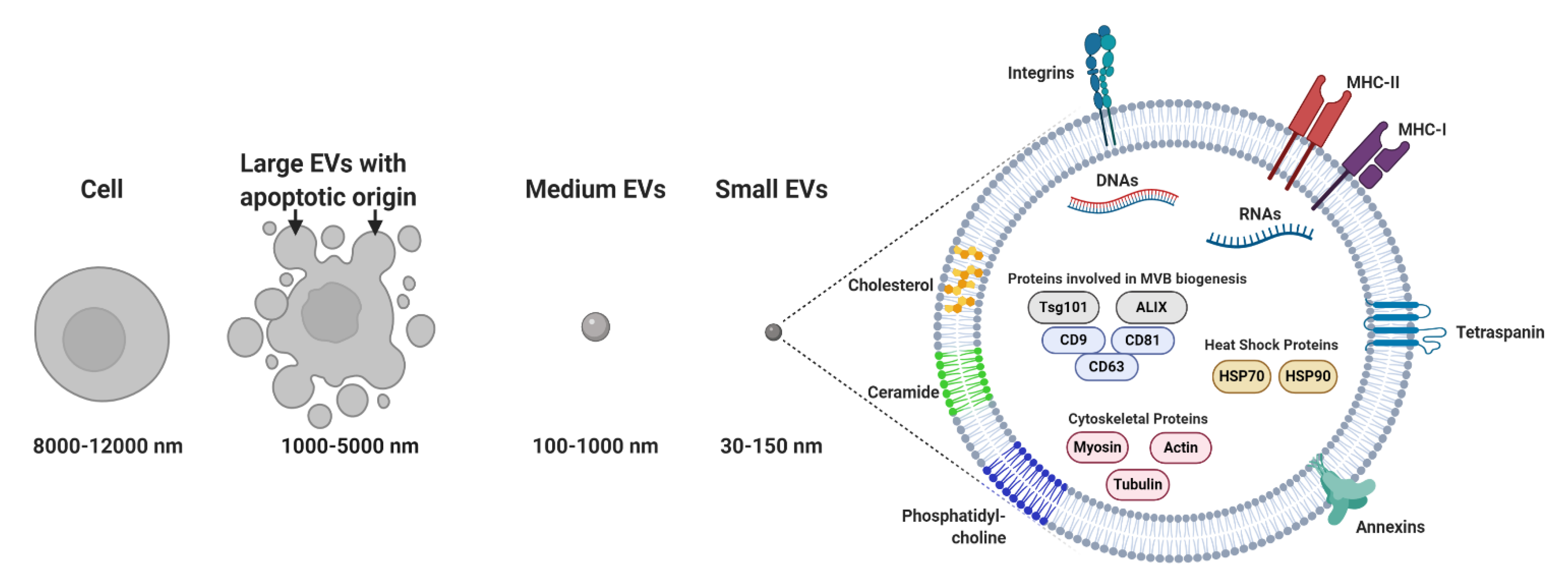 Cancers 13 00084 g001