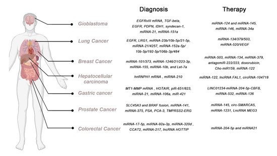 Cancers 13 00084 g003