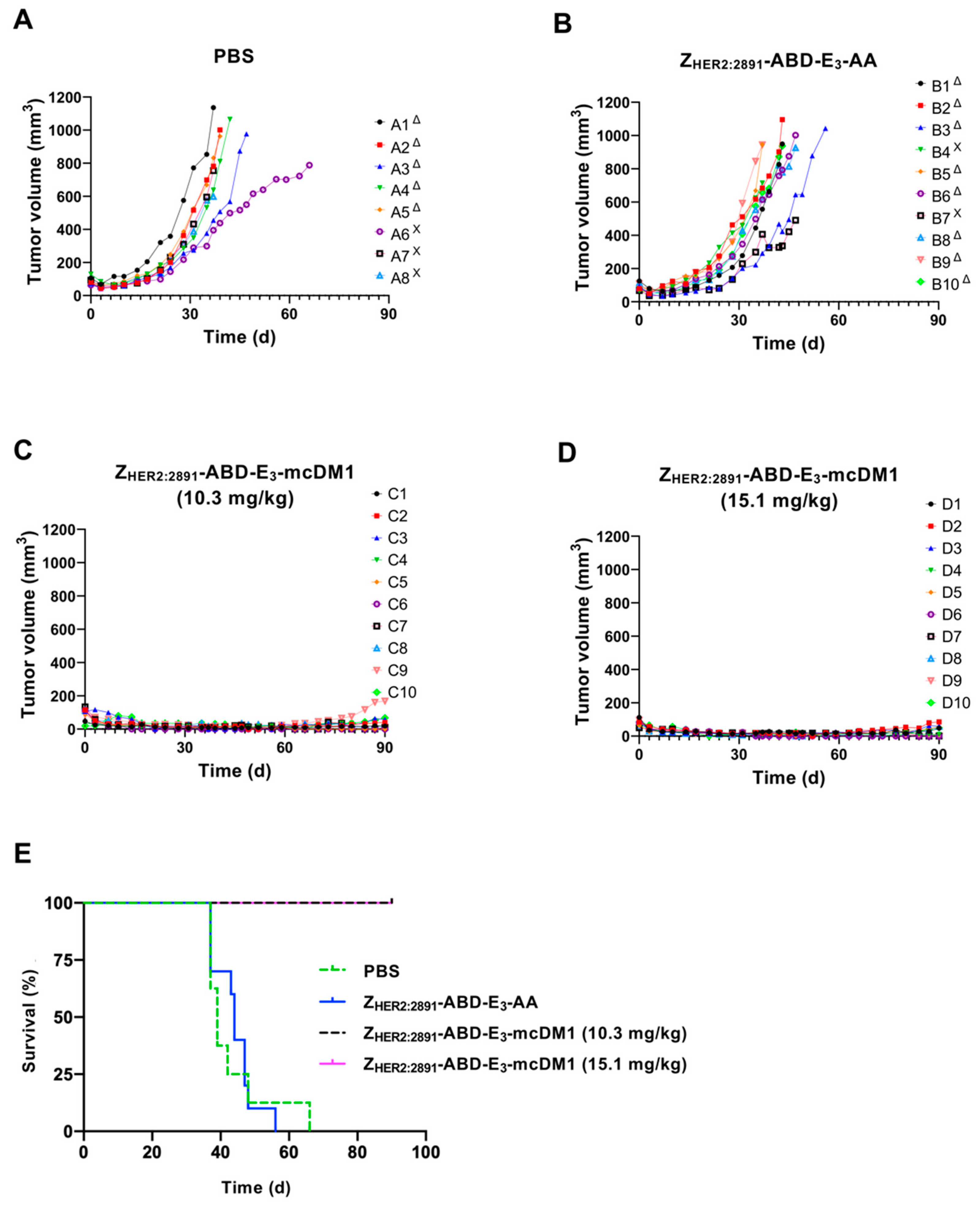 Cancers 13 00085 g006