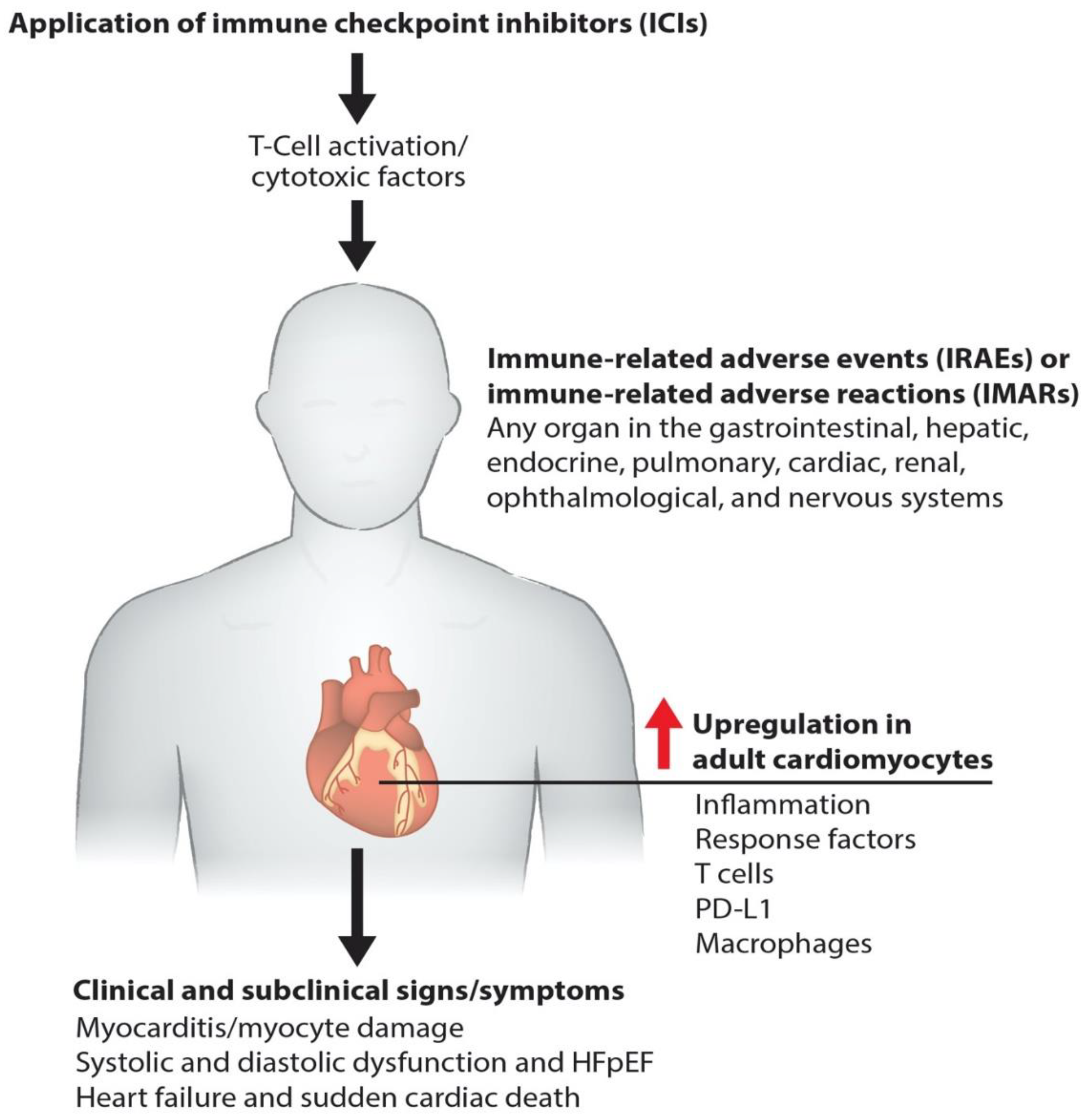Cancers 13 00086 g001