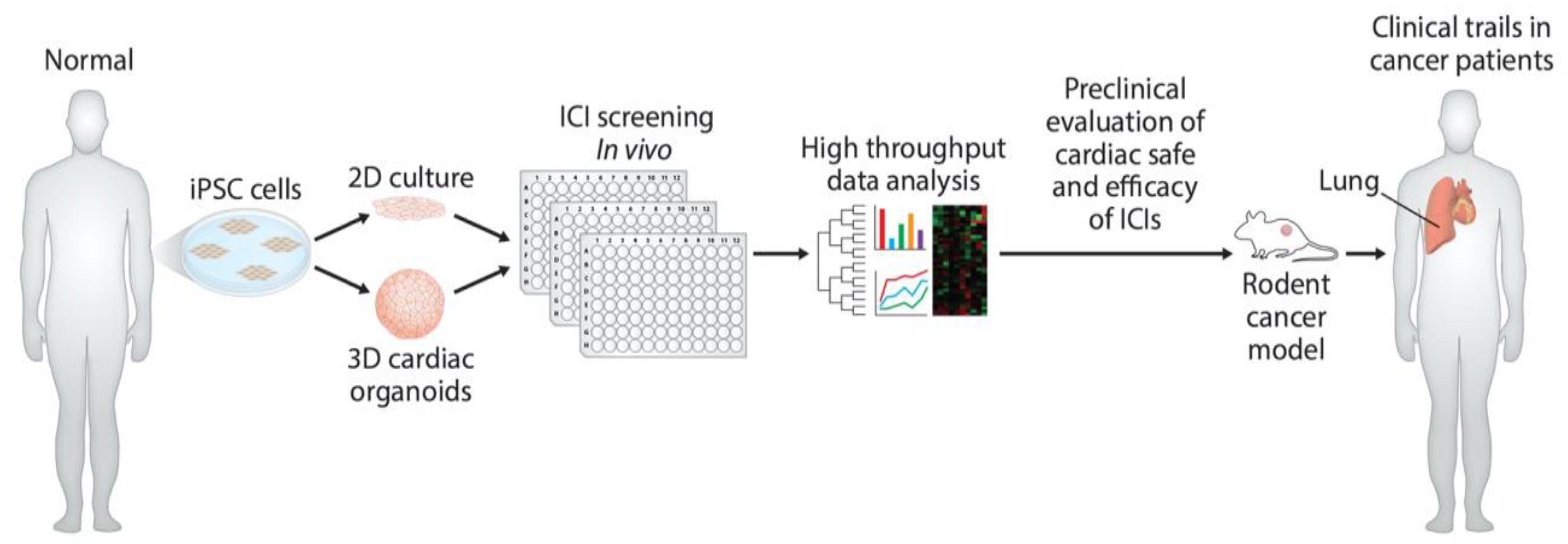 Cancers 13 00086 g003