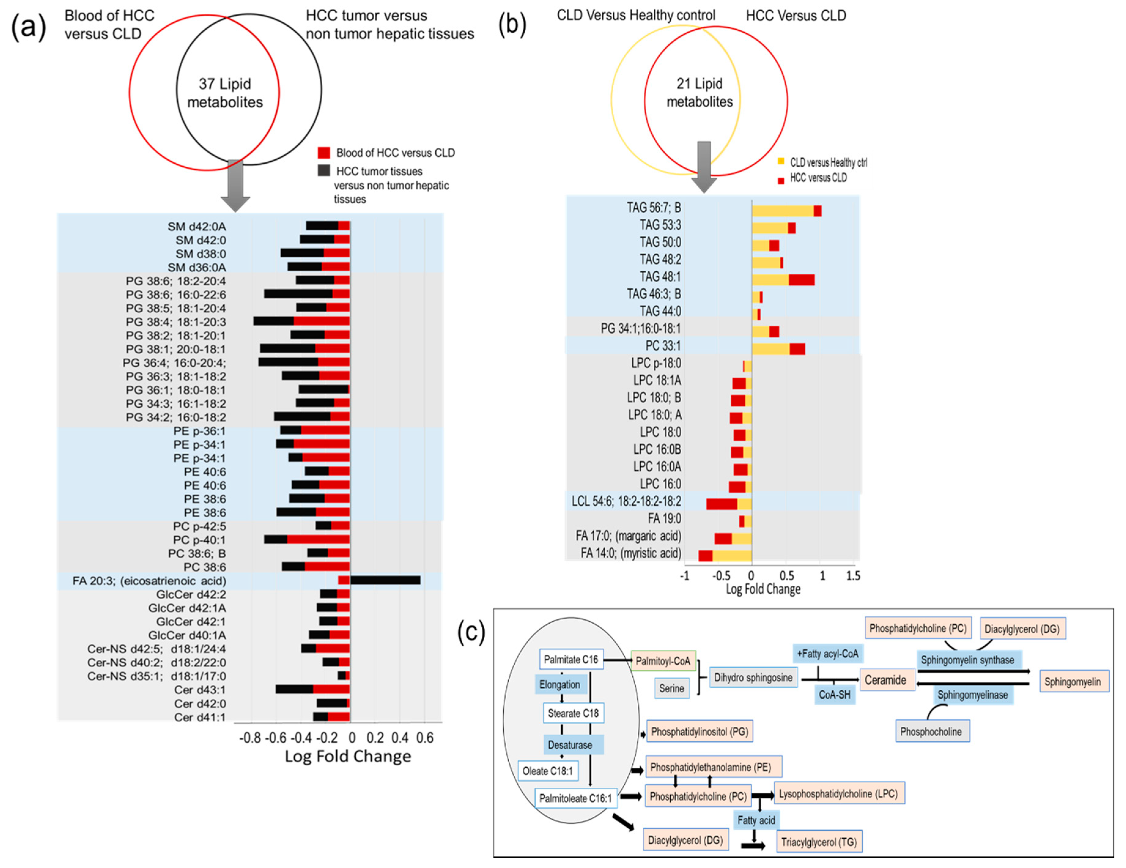 Cancers 13 00088 g007