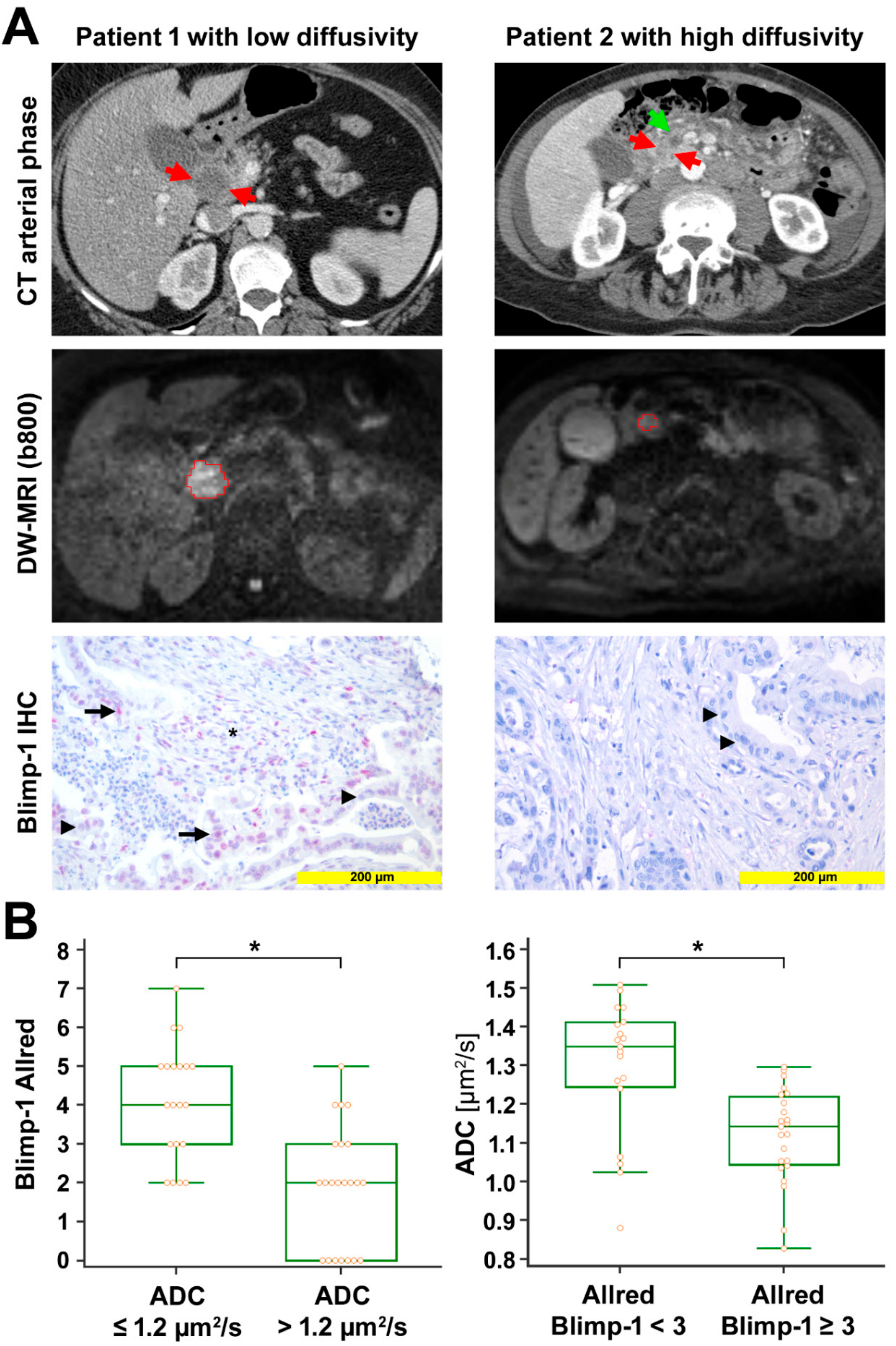 Cancers 13 00089 g001 Cancers 13 00089 g001