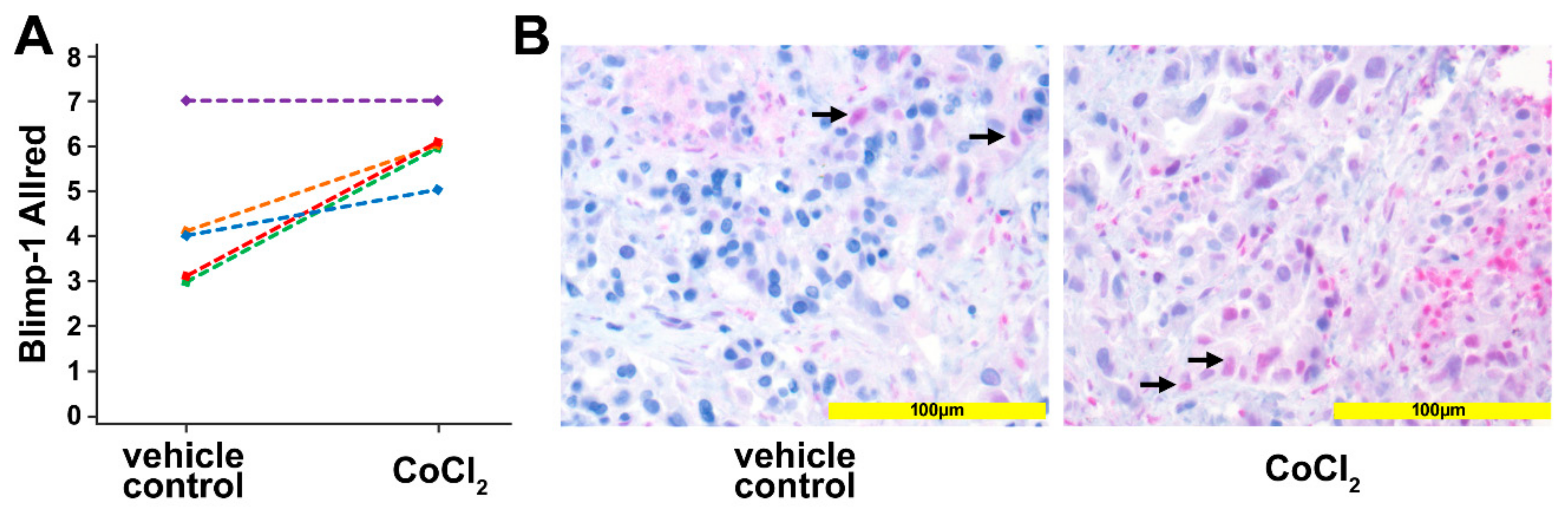 Cancers 13 00089 g003 Cancers 13 00089 g003