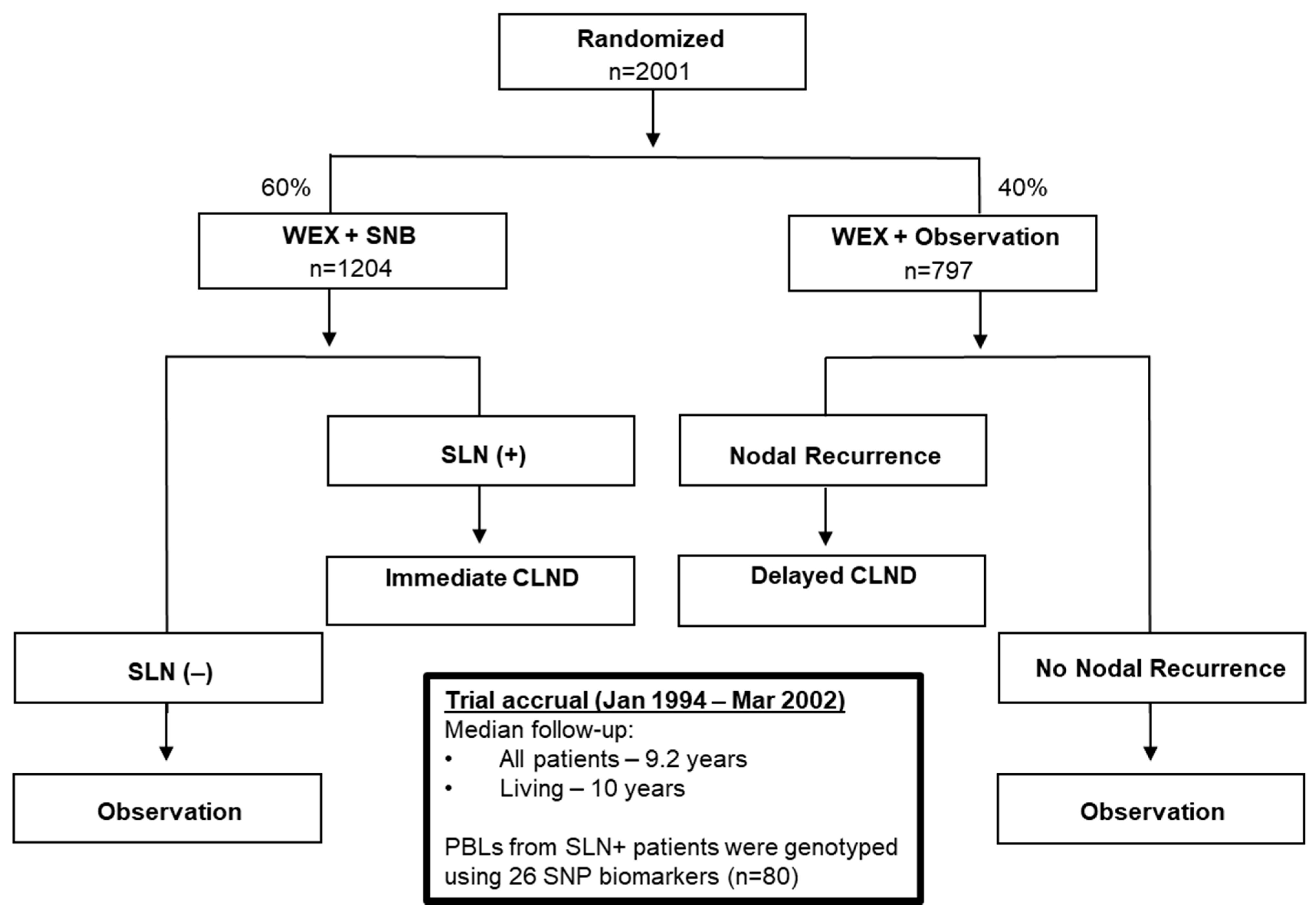 Cancers 13 00091 g003