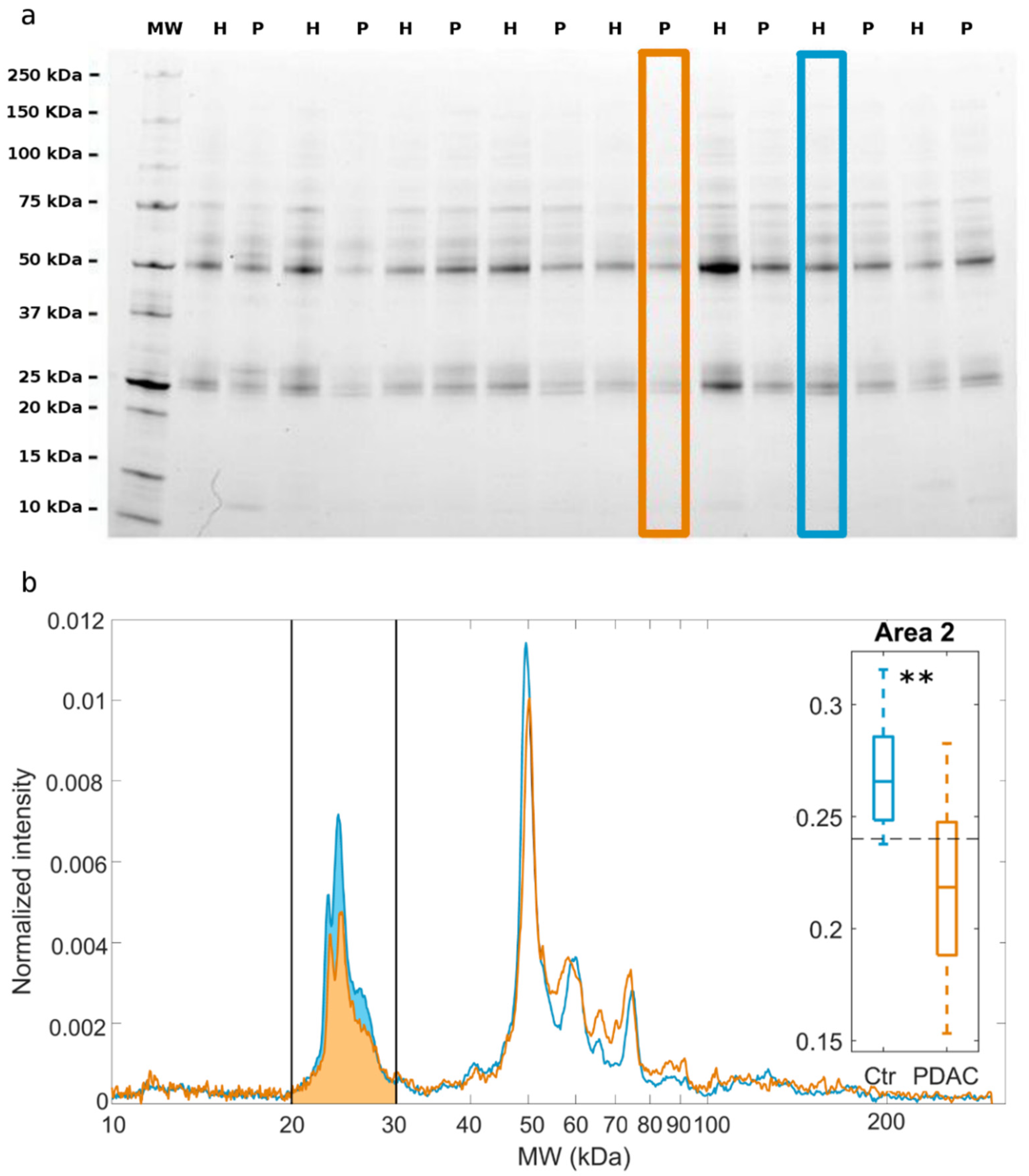 Cancers 13 00093 g001 Cancers 13 00093 g001