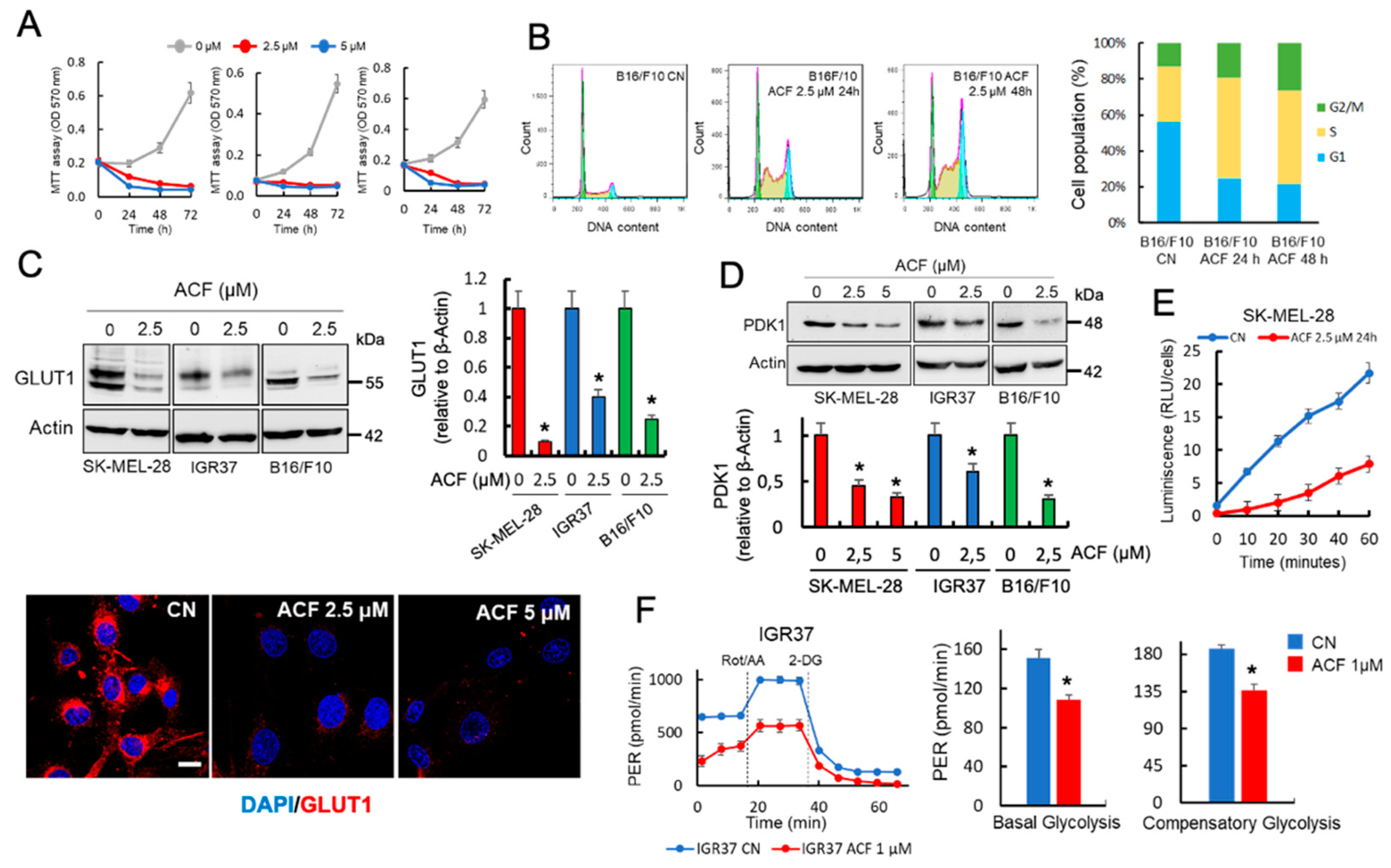 Cancers 13 00102 g001