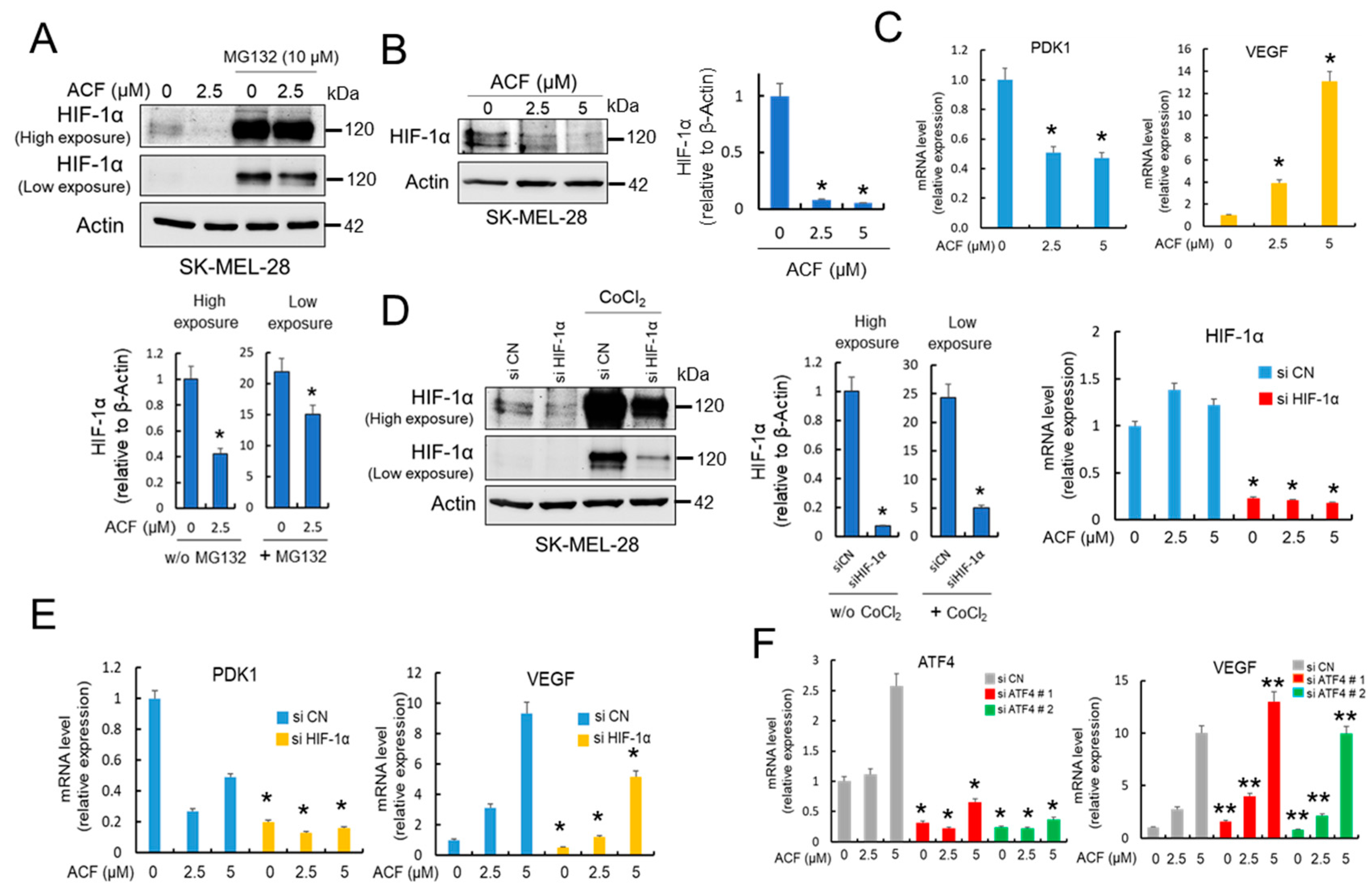 Cancers 13 00102 g002
