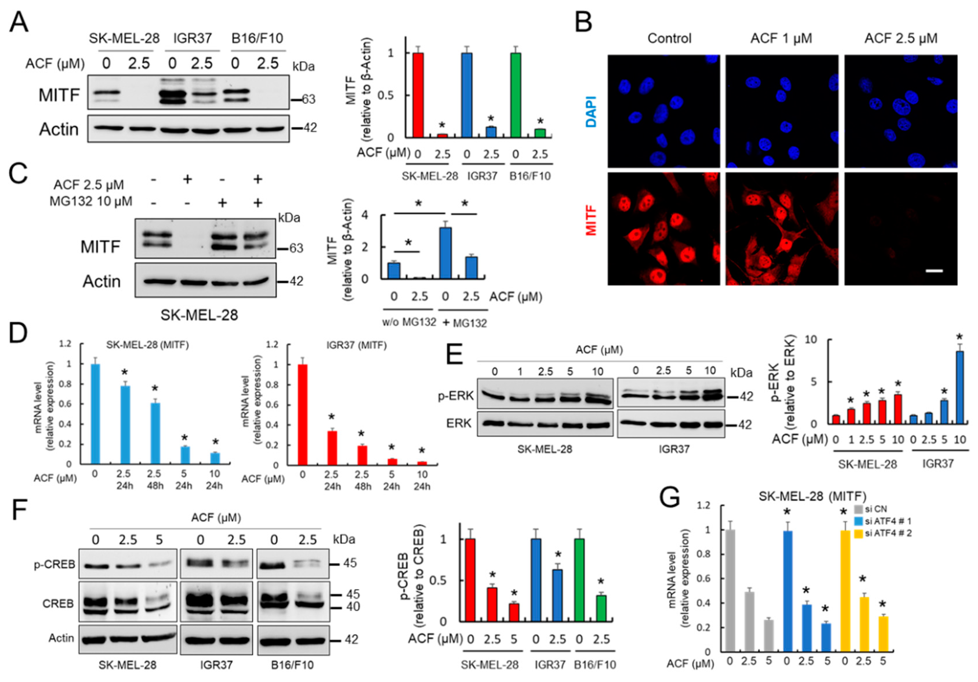 Cancers 13 00102 g003