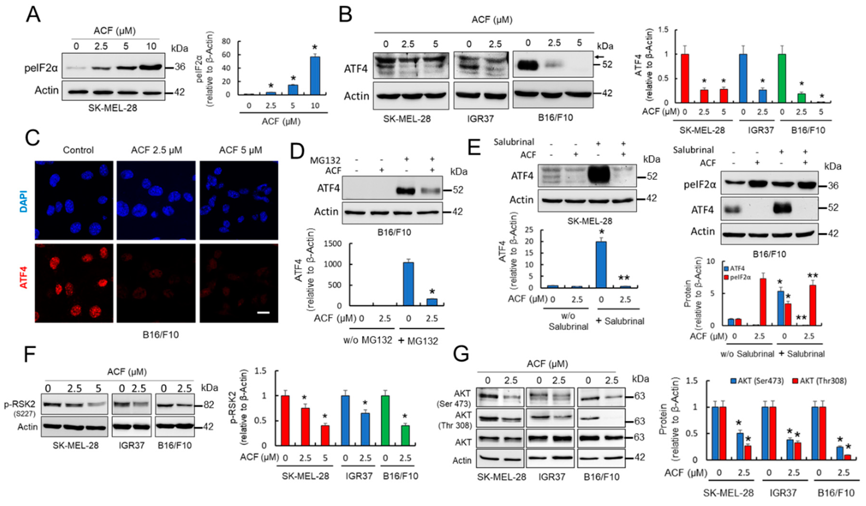 Cancers 13 00102 g004